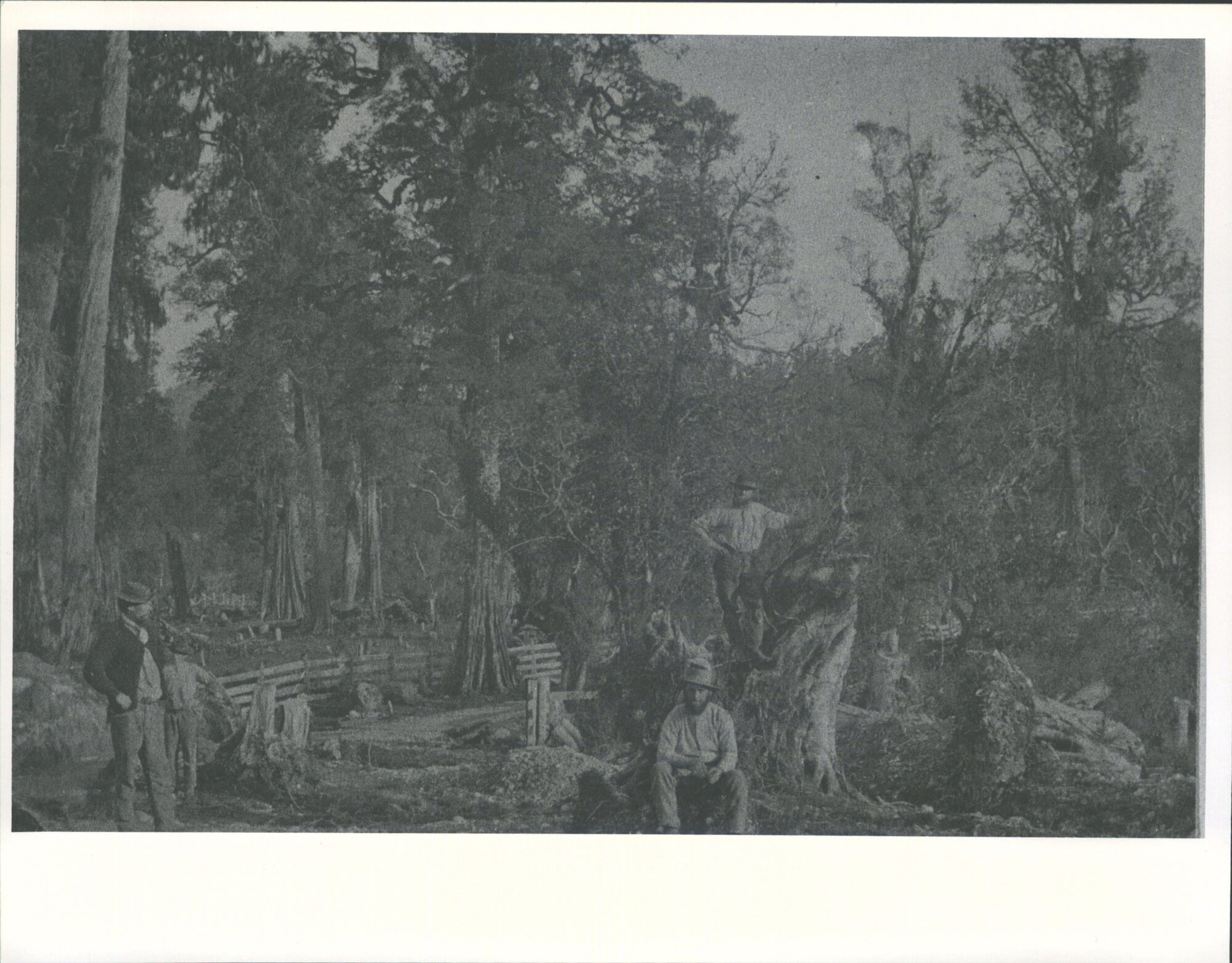 Marsden Road near Greymouth'