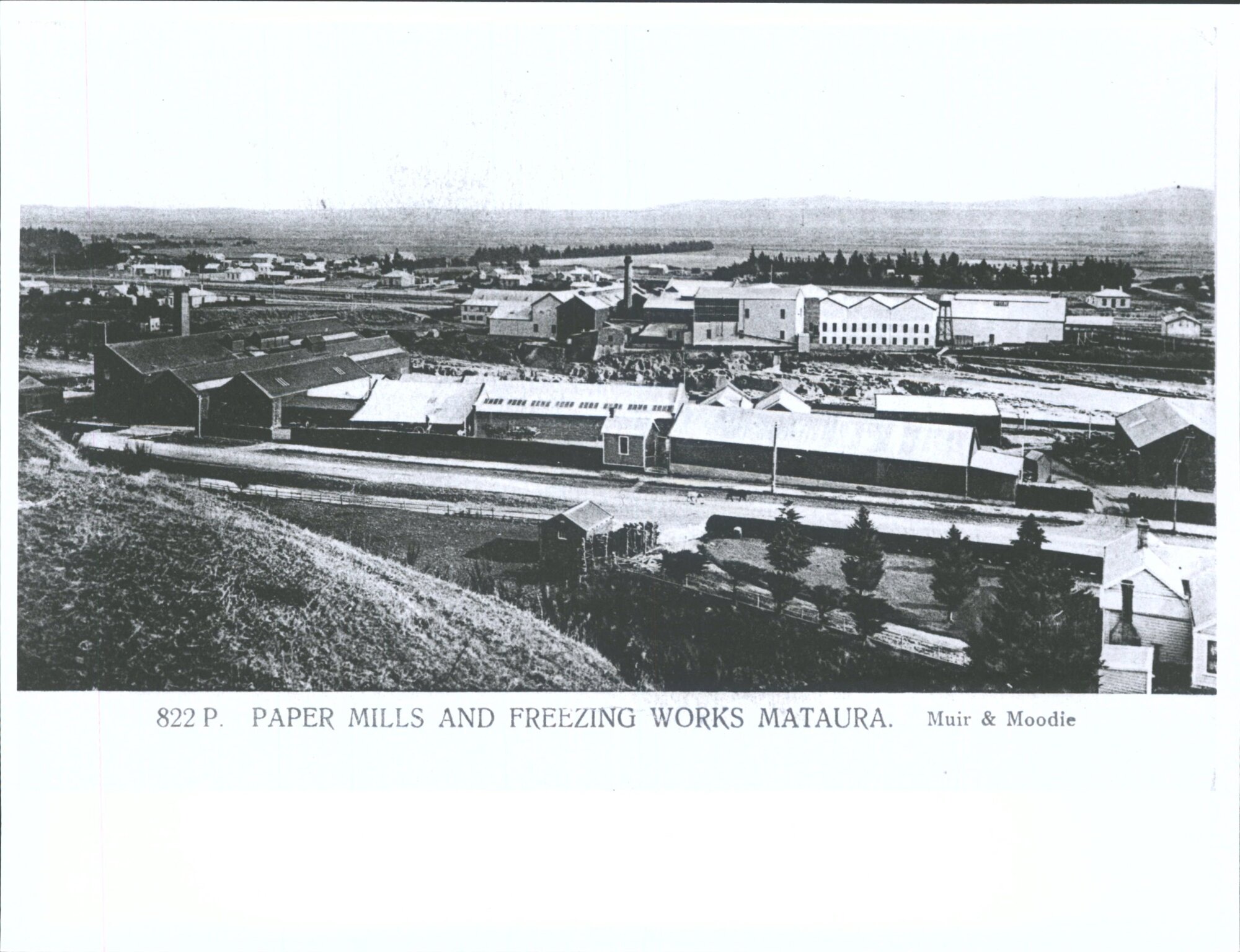 Paper Mills and Freezing works