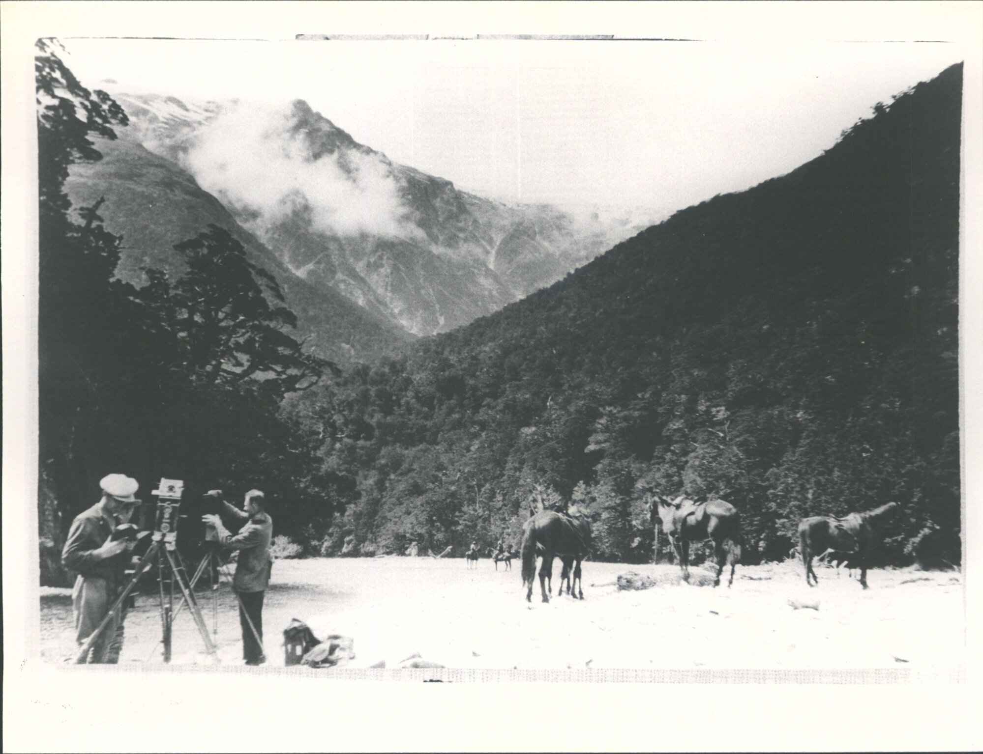 Mt. Brewster,  Upper Haast,  Haast Pass Track, South Westland