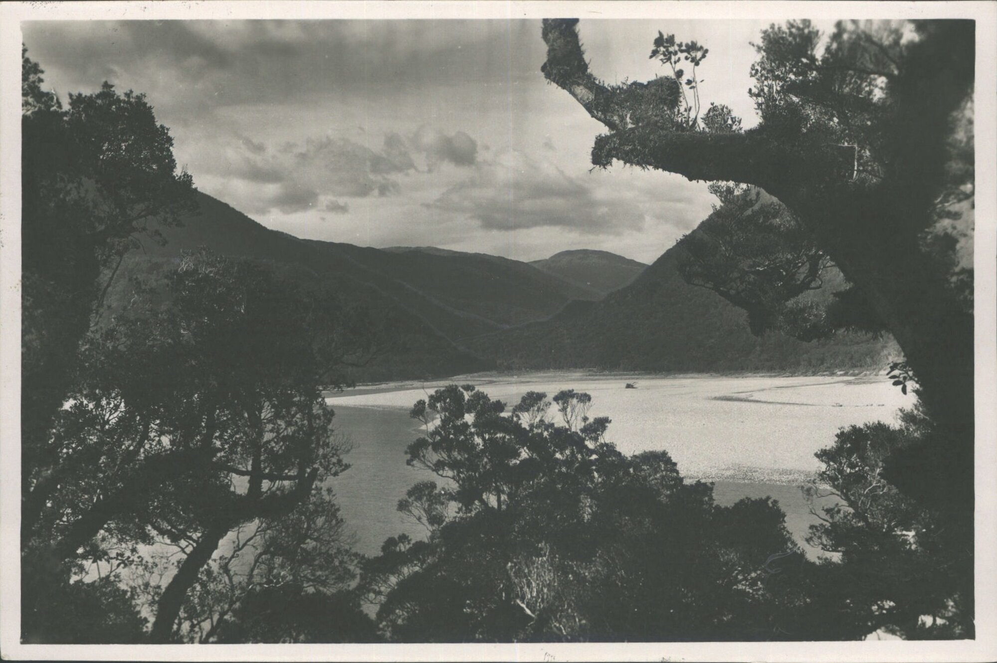 a peep through beautiful native bush. Viewing the Haast River