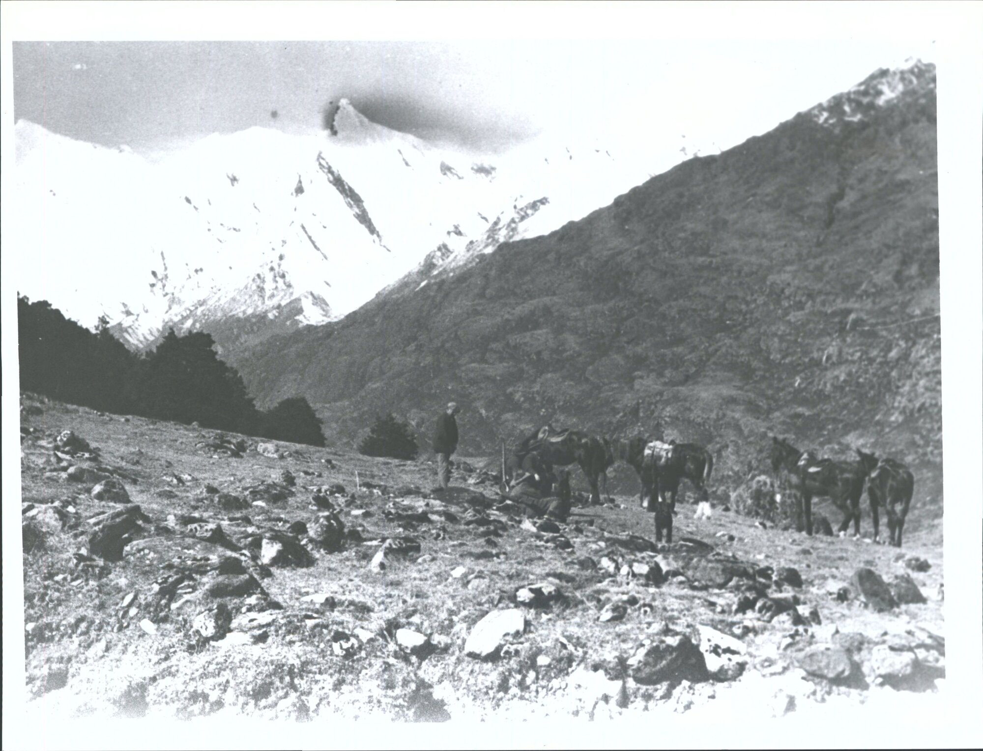"Taken from Butlers Flat looking down valley to sharks Tooth peak."