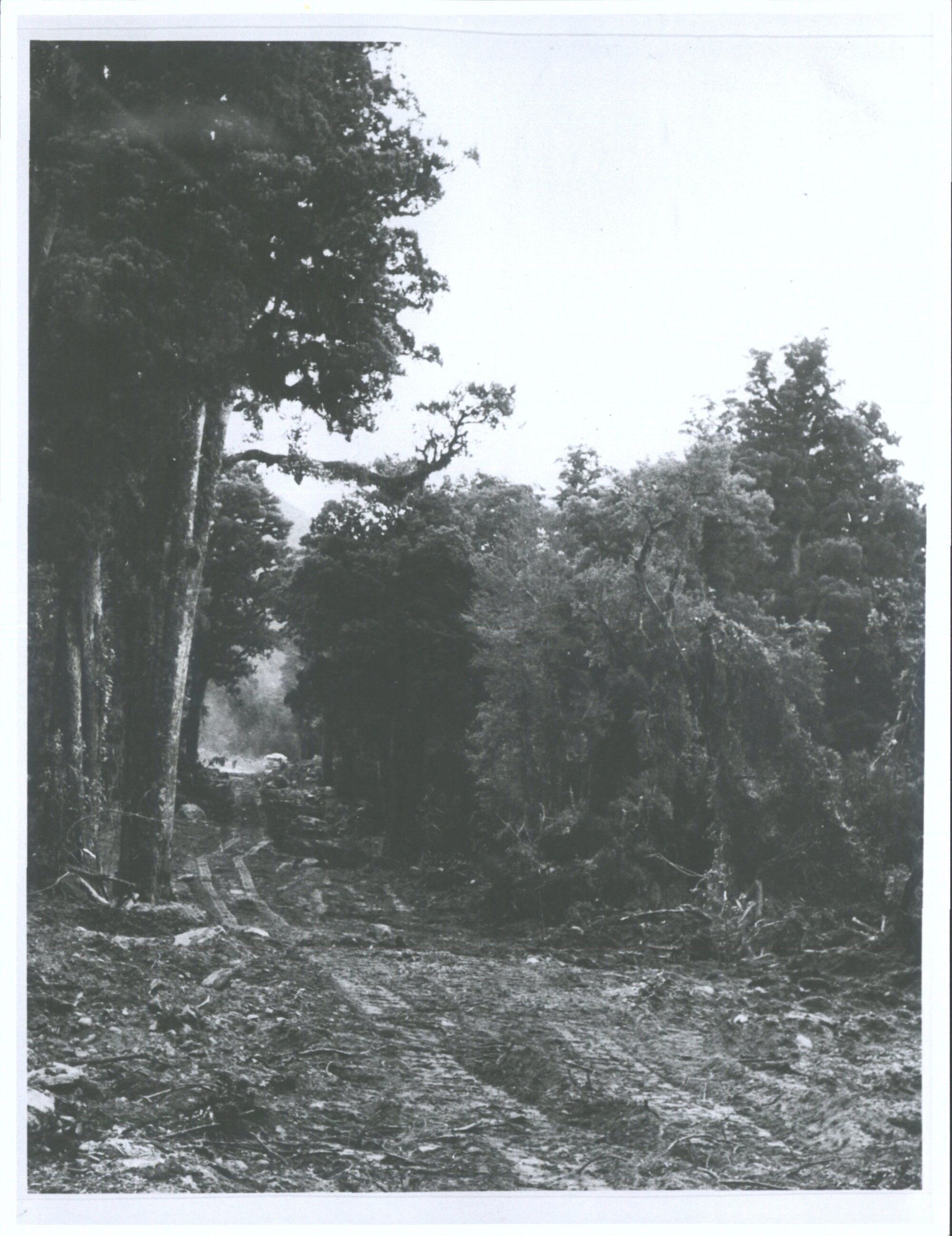 Forming Haast Road, 23 miles up [from Settlement]