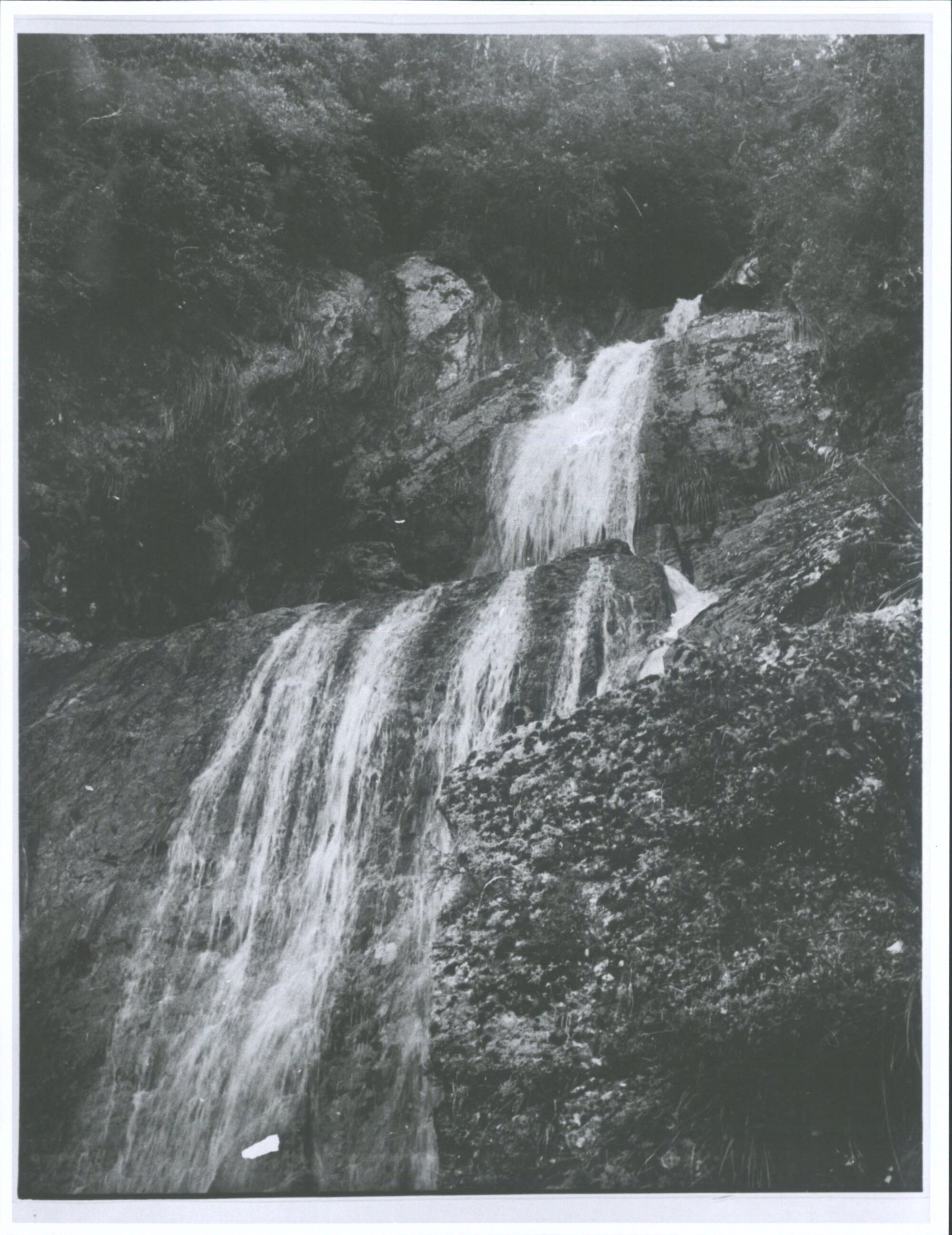 Approximately  4 miles down on West Coast Side of Haast pass