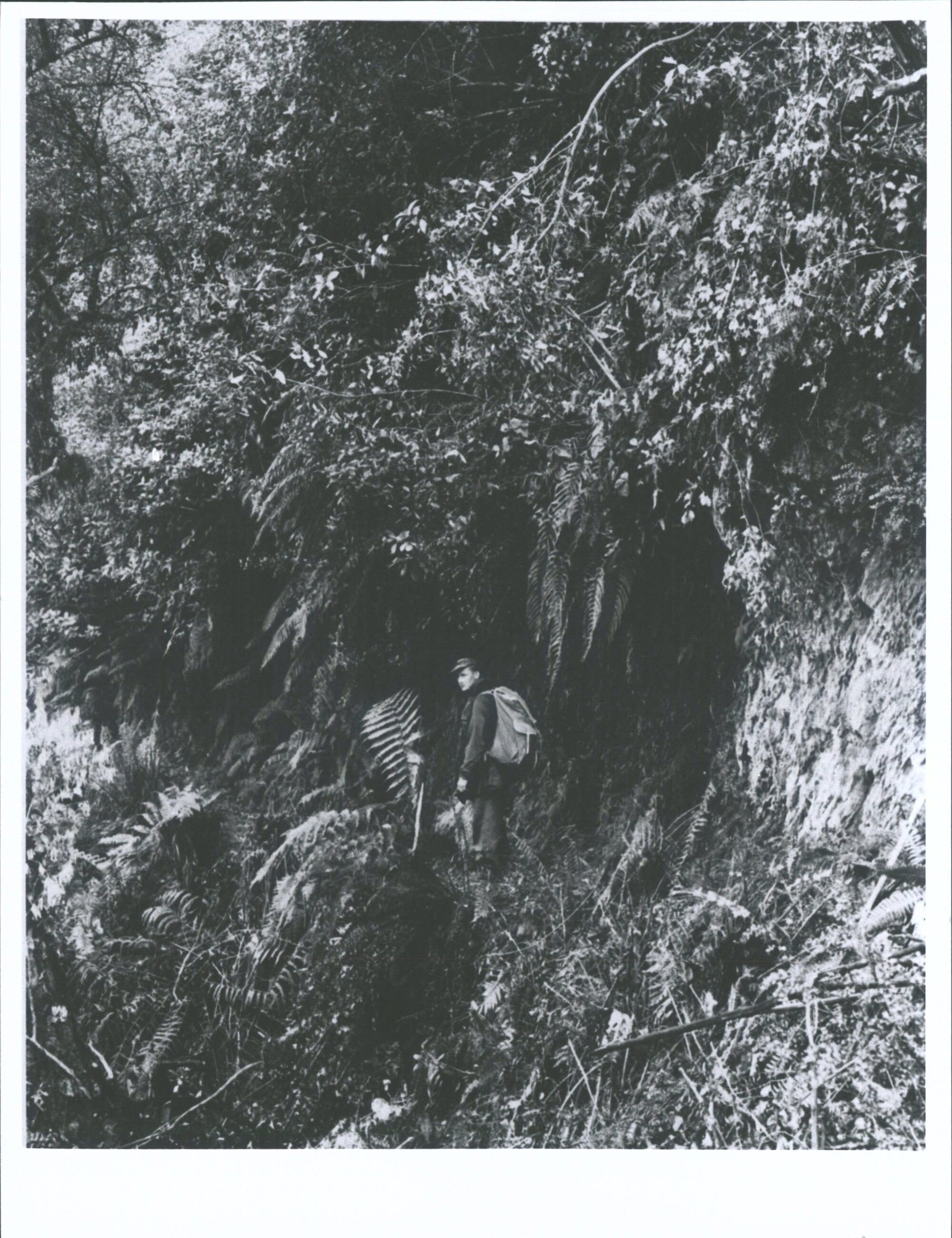 Former walking track 2 miles above Clarke Hut