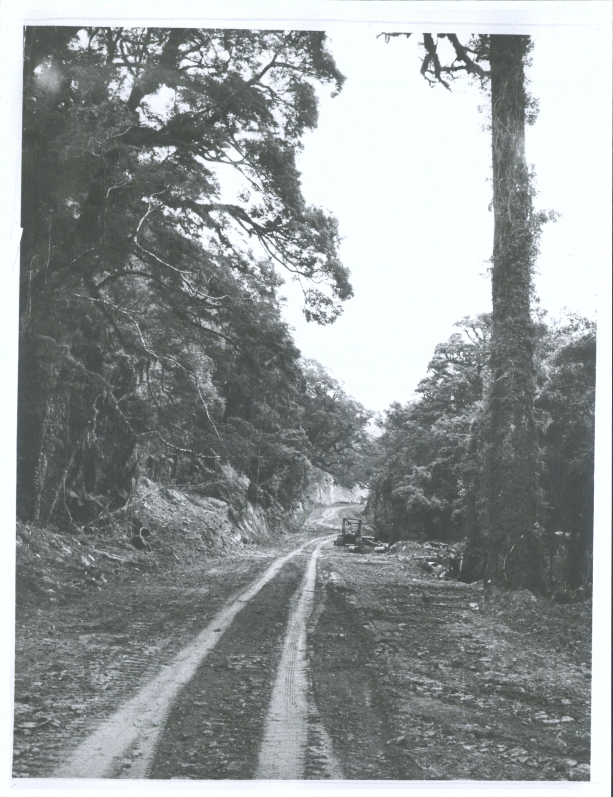 Forming Haast road 25 miles from Haast Settlement