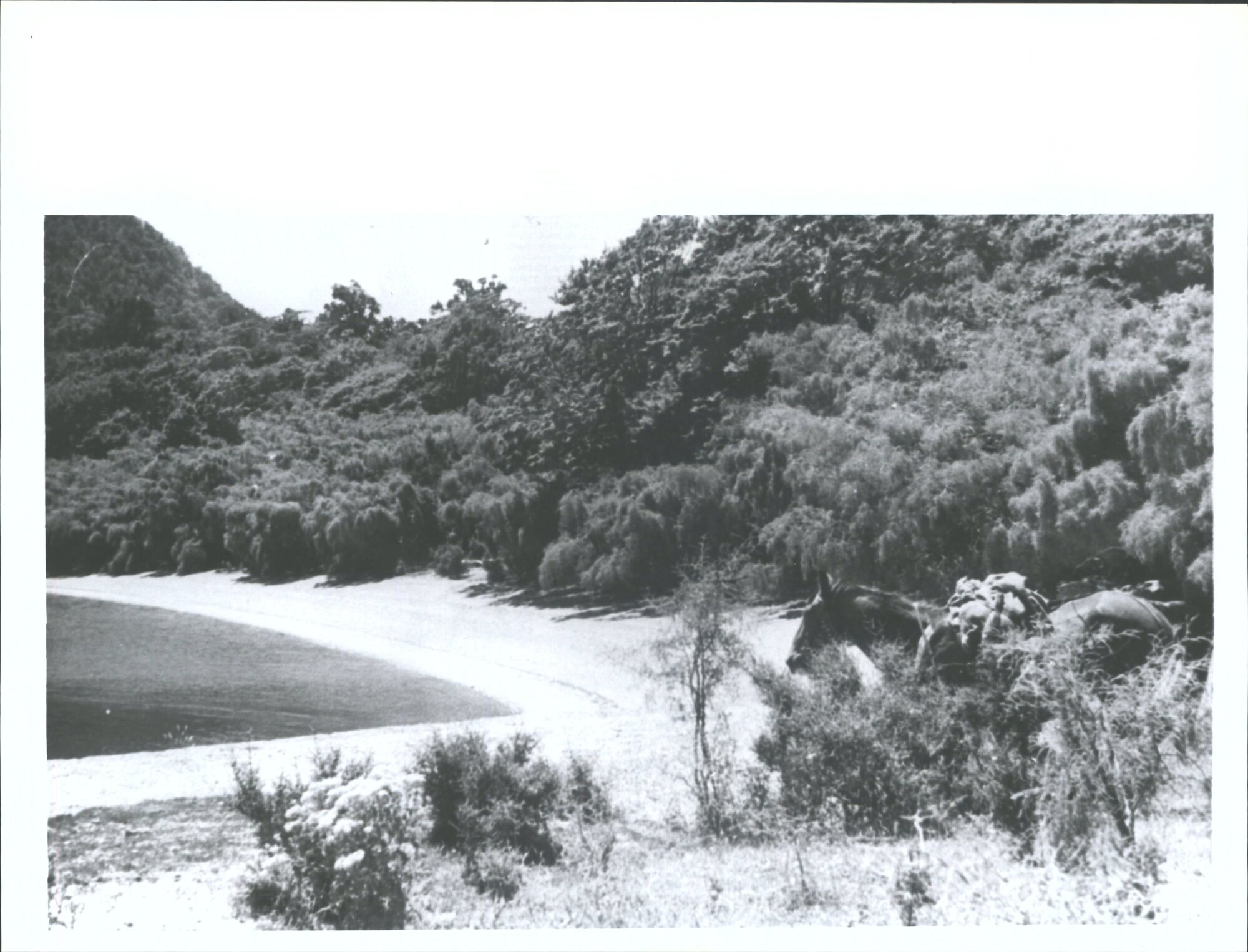 Survey Site of Jamestown