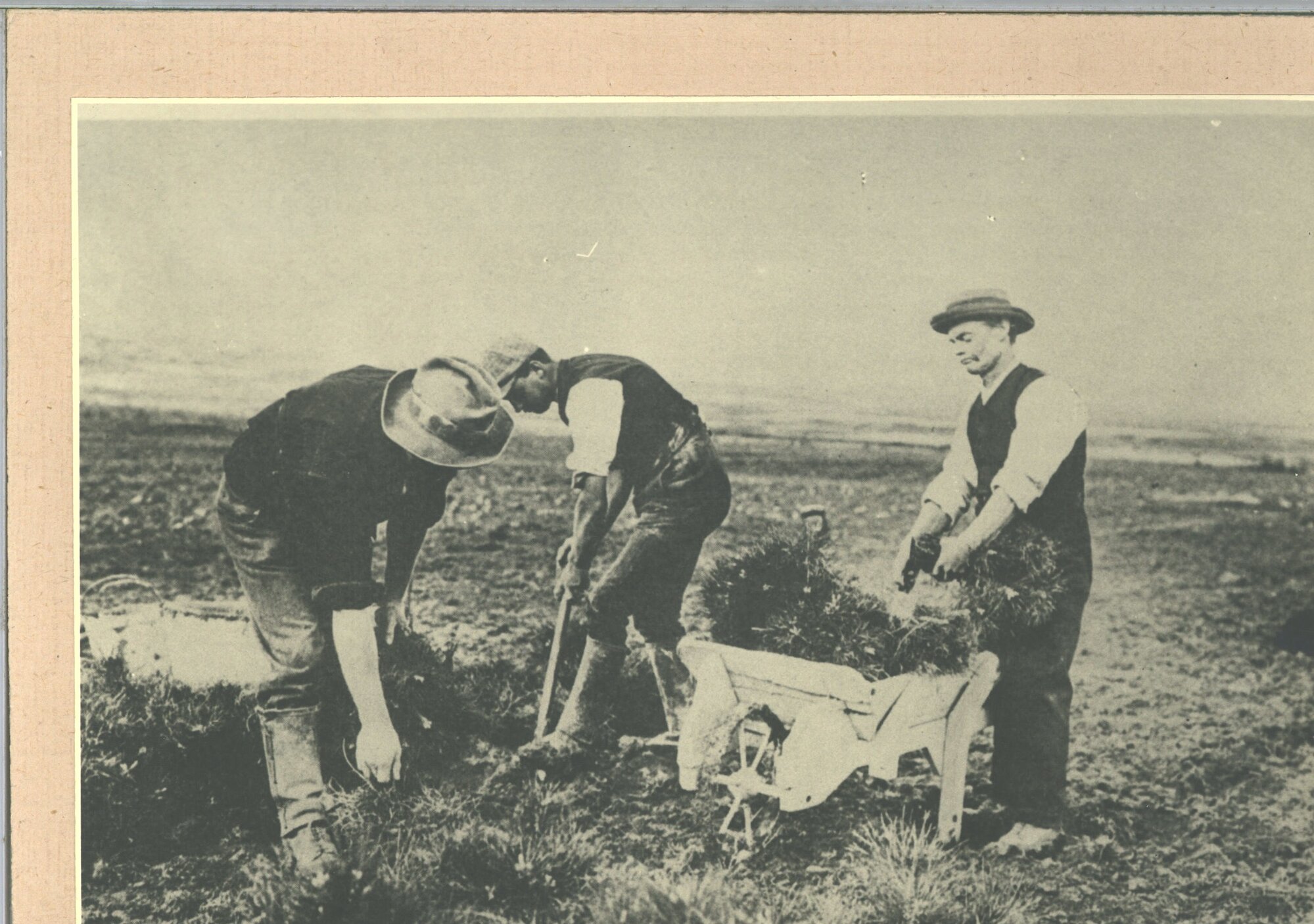 Operations in Hanmer Nursery