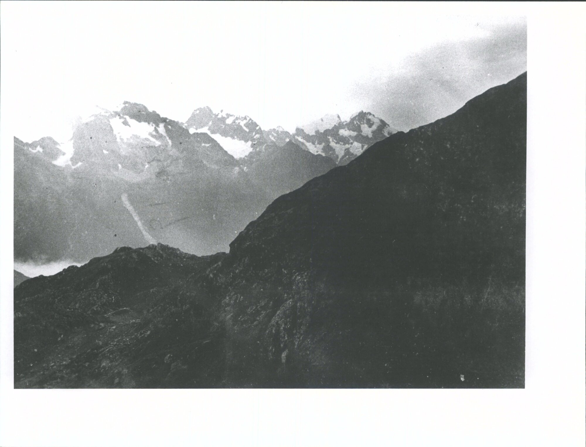 Looking across Hollyford