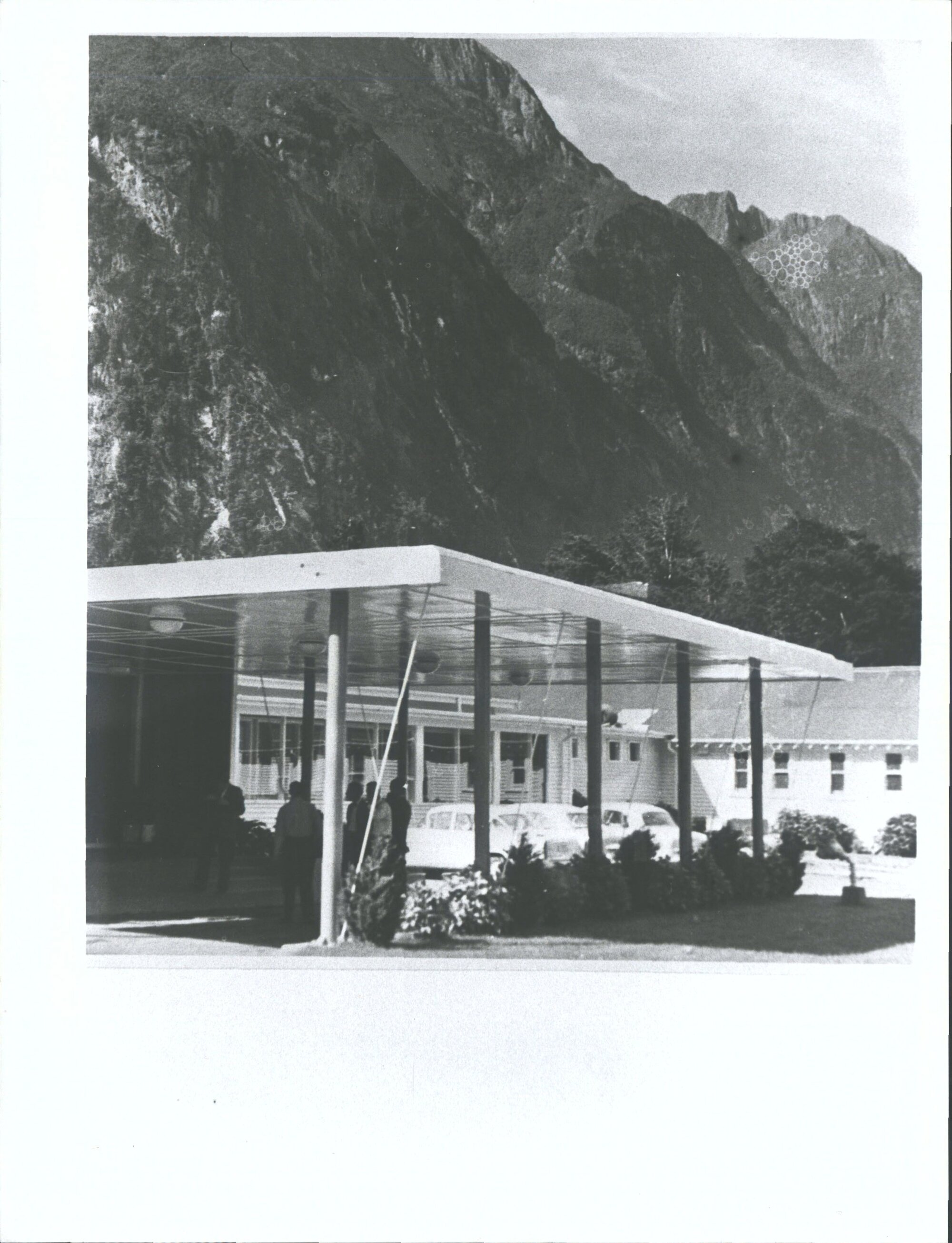 Restoration after fire