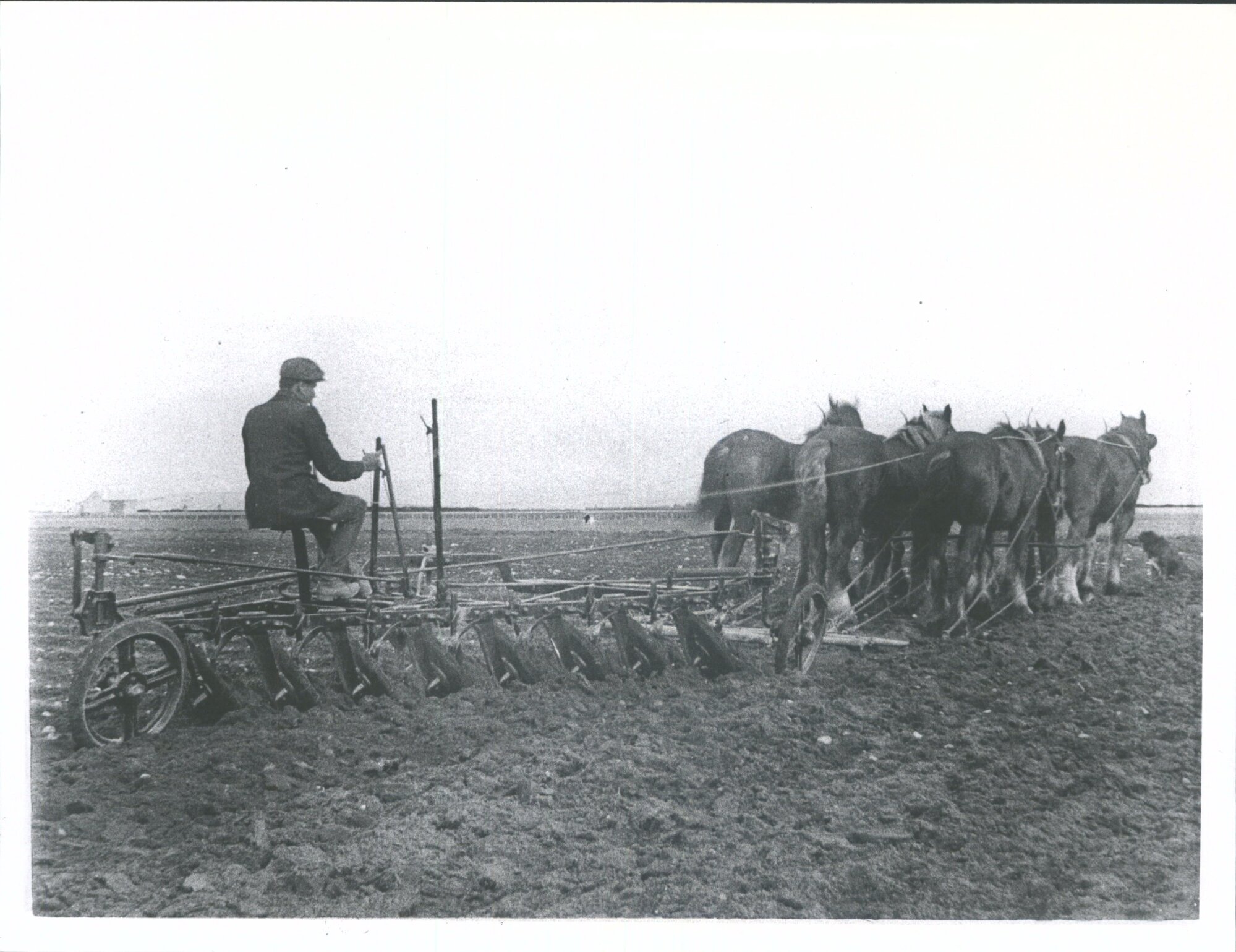 At Mr William Watsons 'Mayfield'