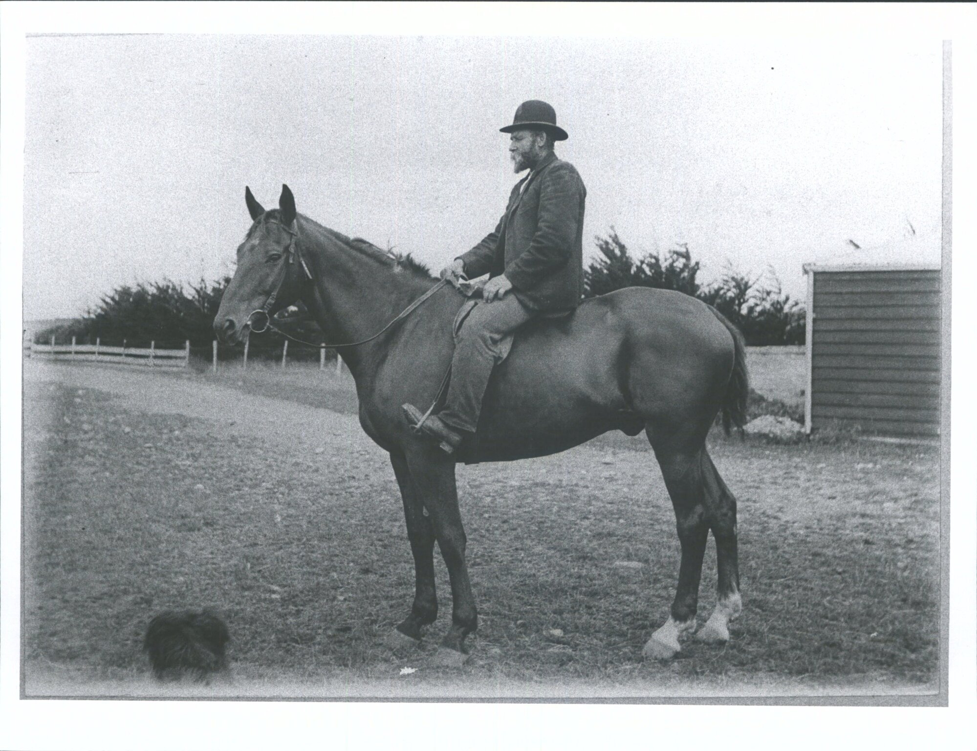 Mayfield  Mr William Watson Ready to go round the sheep