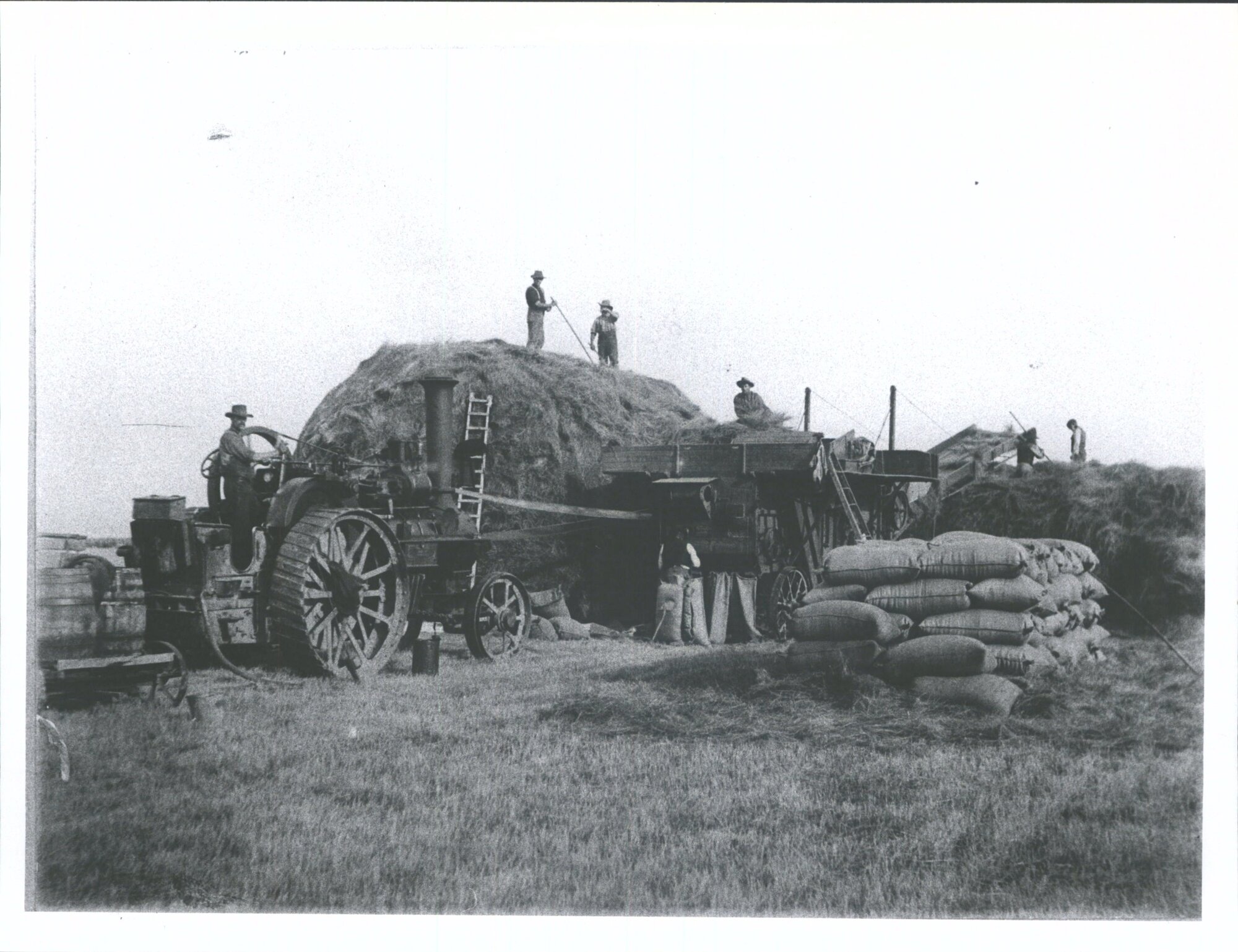 "Thrashing Grasseed (sic) the stack in the picture yielded 200 sacks equal to 1100 bus. Or 1500 Bushels for the two stocks" "At