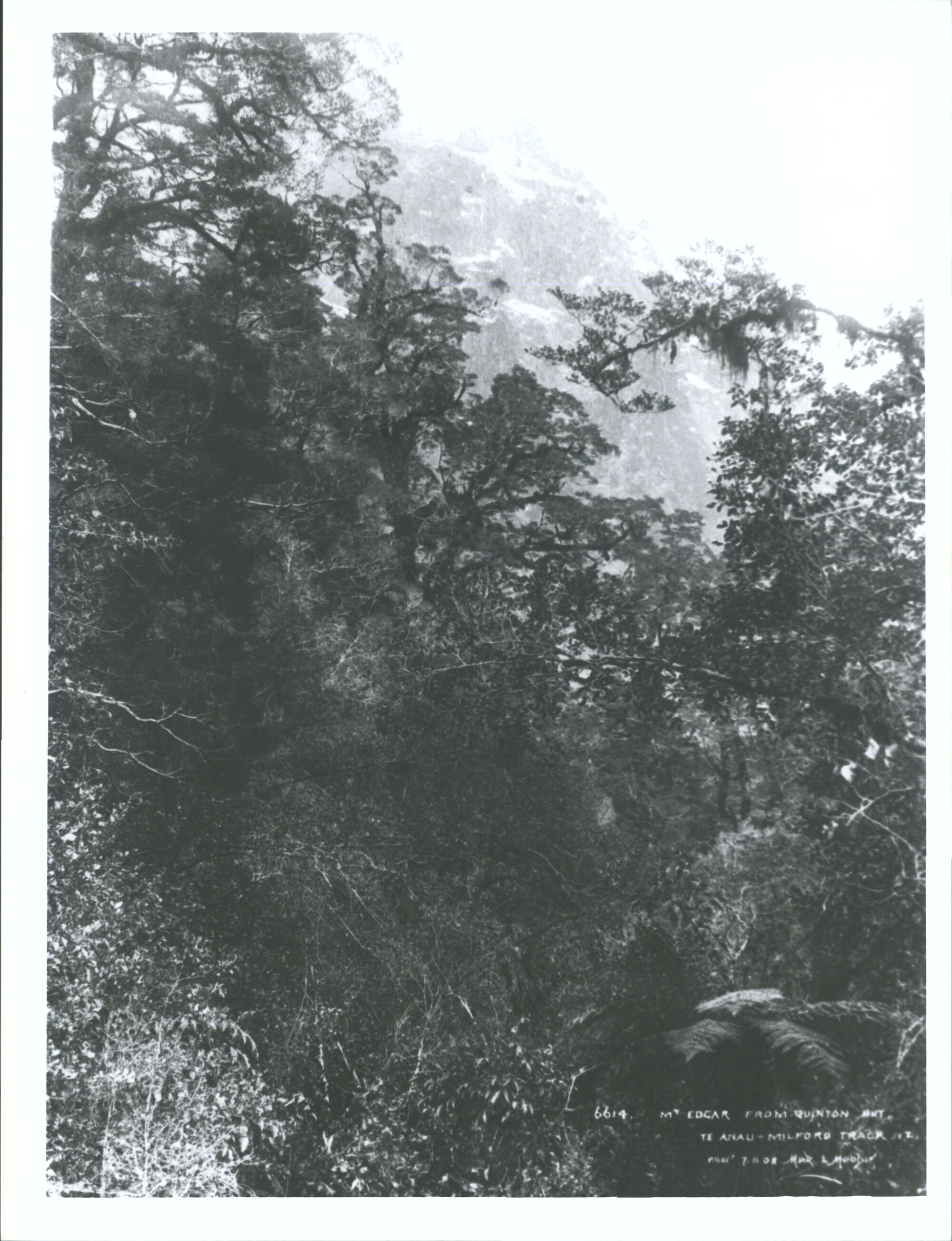 Mt Edgar from Quinton Hut, Te Anau