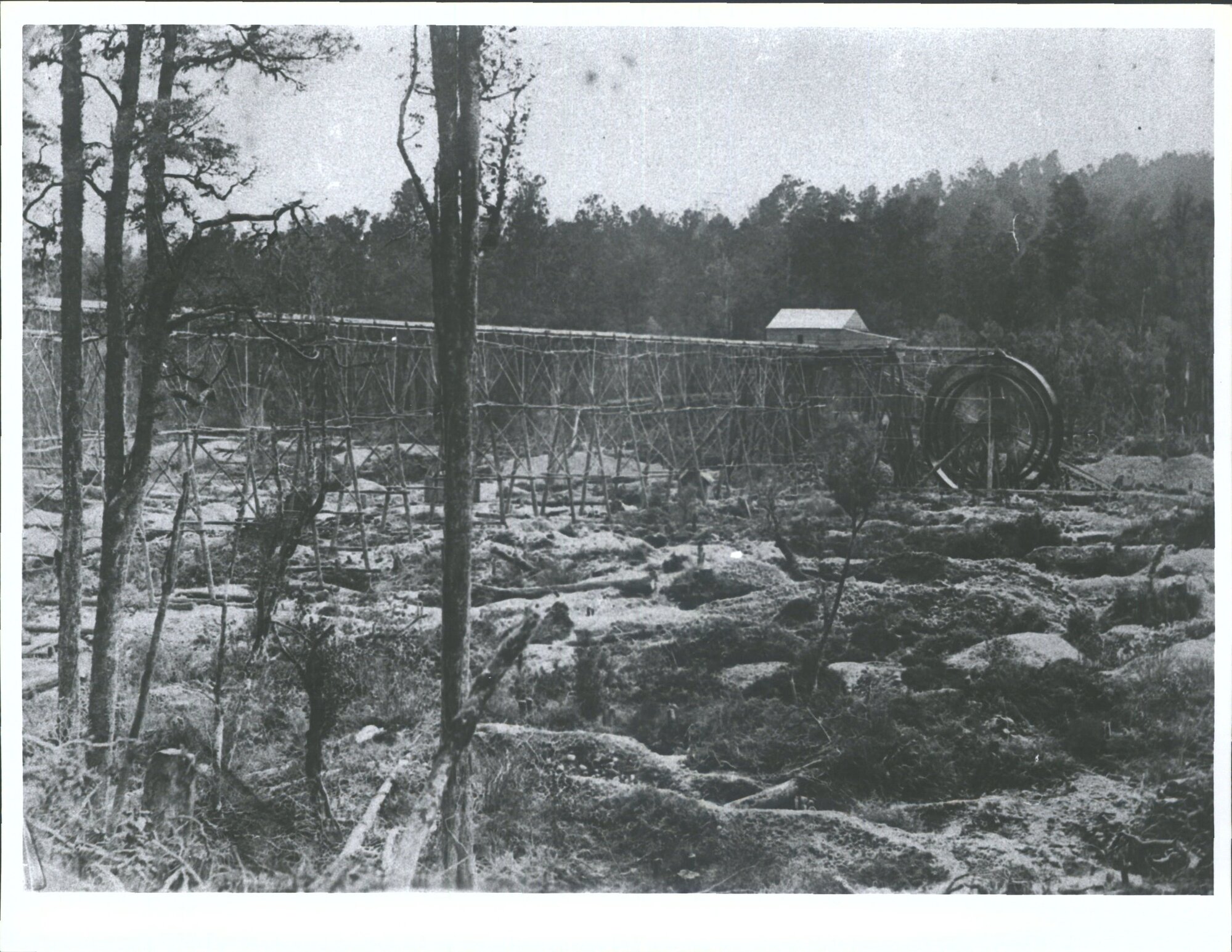 Tucker Flat' near Hokitika - The 'Albion' water Wheel