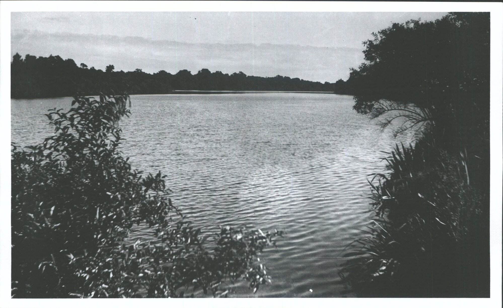 Hollyford River (at Martins  Bay)