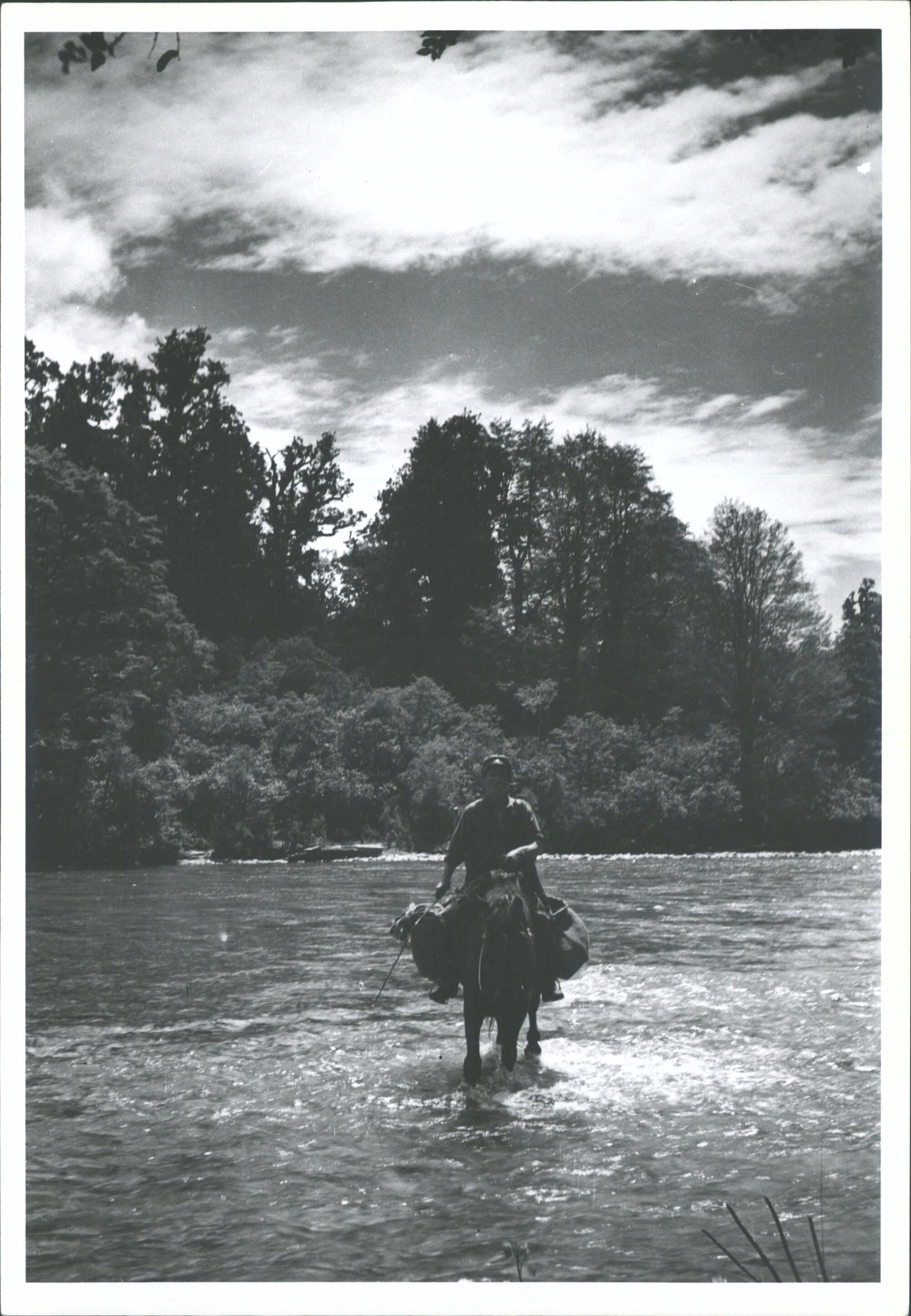 Fording  Hollyford River Roy McDonald on Horse