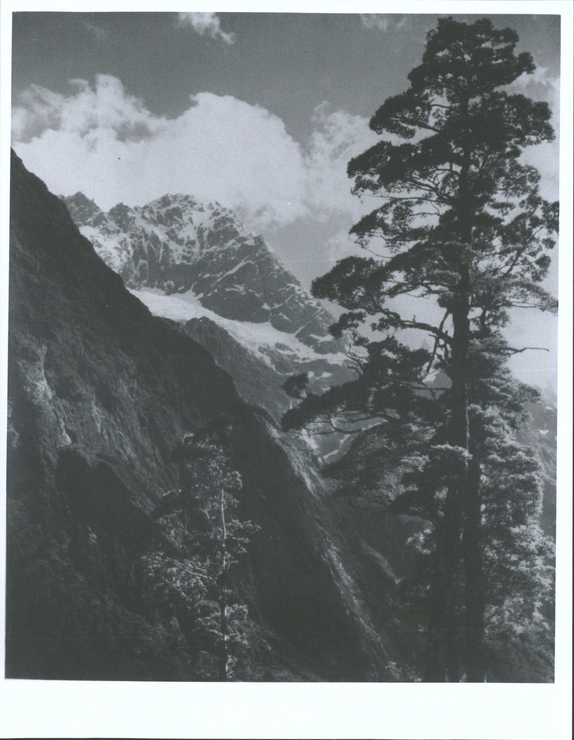 October 1962 Upper Hollyford Valley