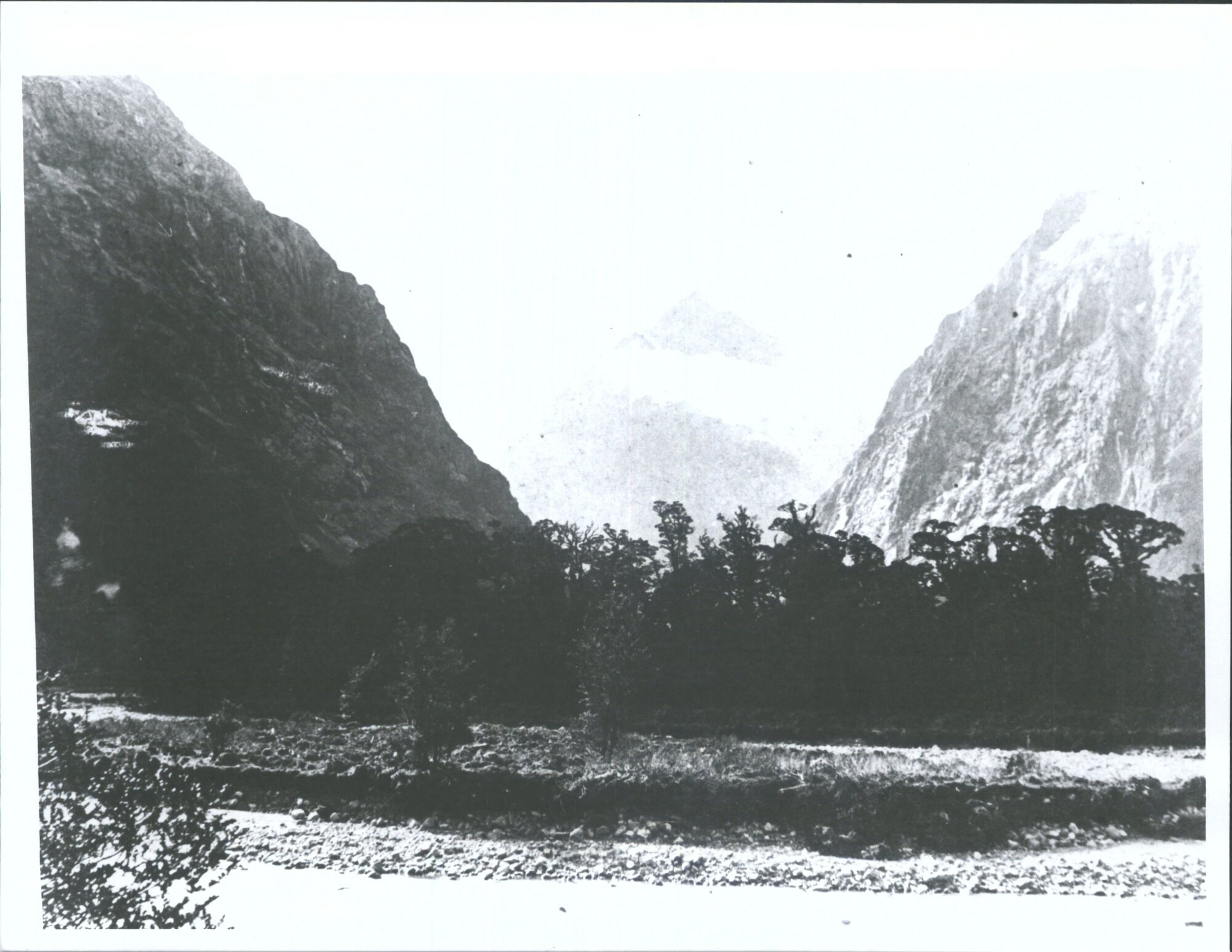 "Looking up Holyford Valley from Monkey Creek, Homer's saddle is to the left and the Lake Gertrude Saddle is to the right of the