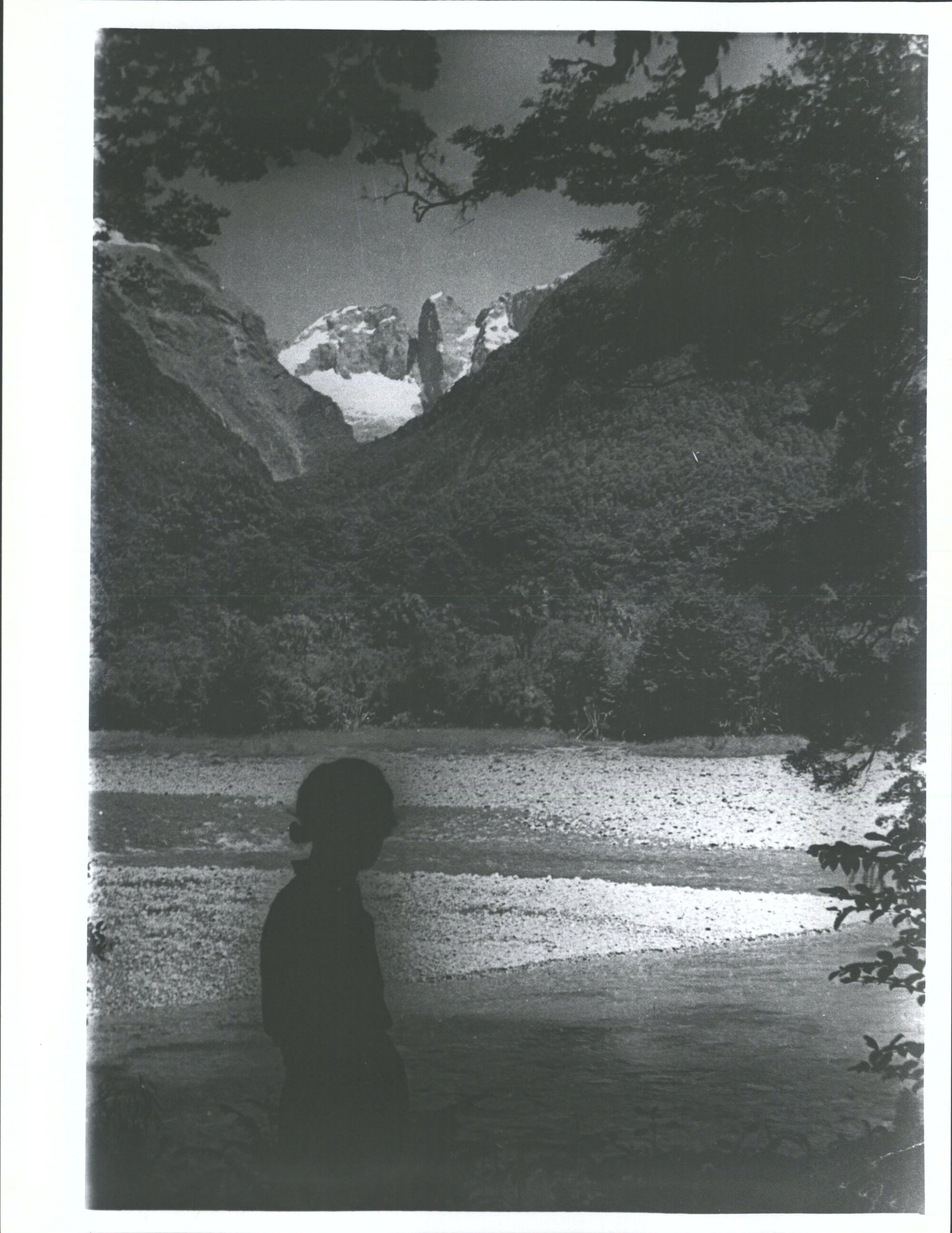 "Looking over the Hollyford River towards Tutuko etc. from the track near Hidden Falls Hutt."