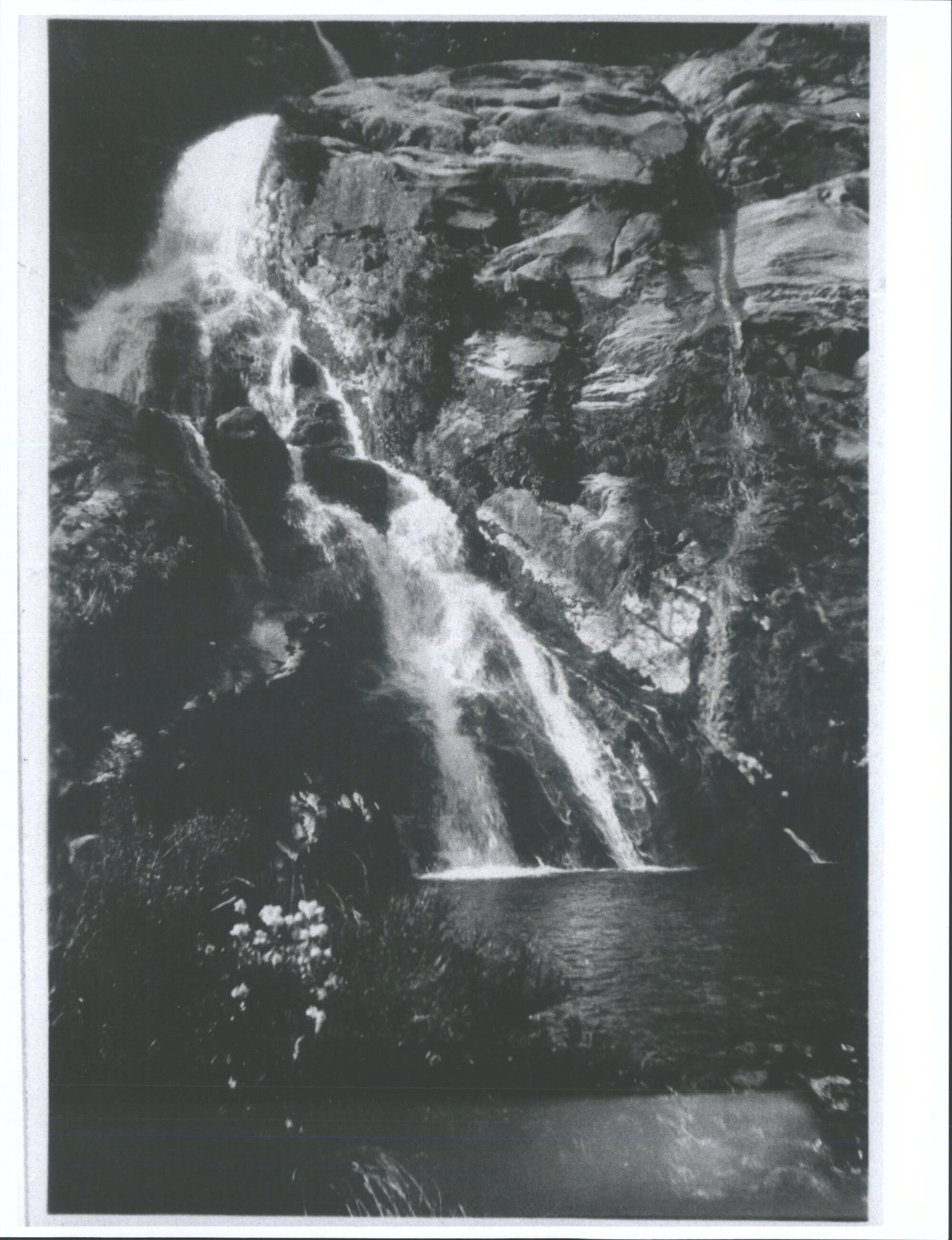 De Lamberts Fall &amp; Pool on way down Esperance Valley to Milford Sound.'
