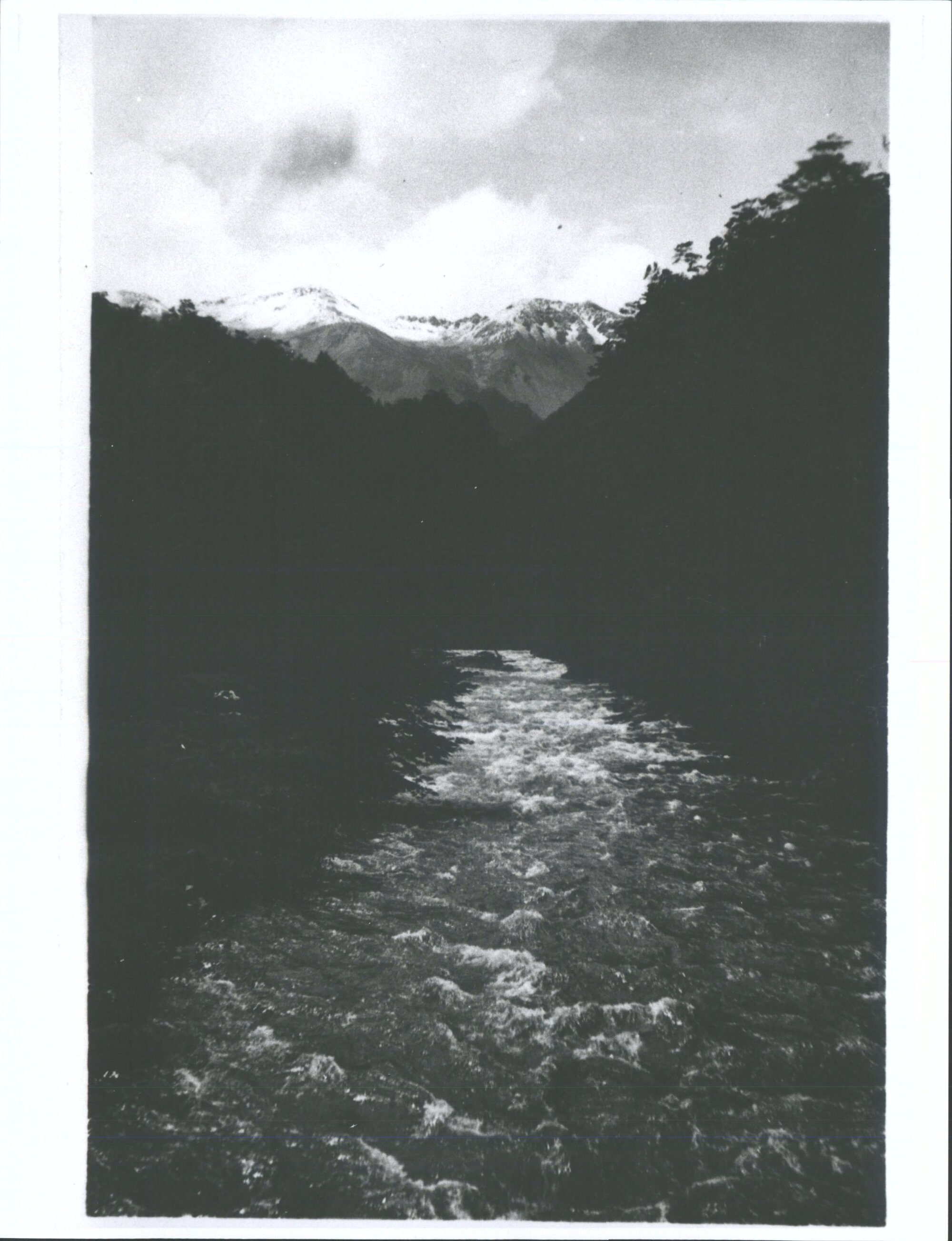 "Looking up the East Branch of the Eglinton from the road bridge."