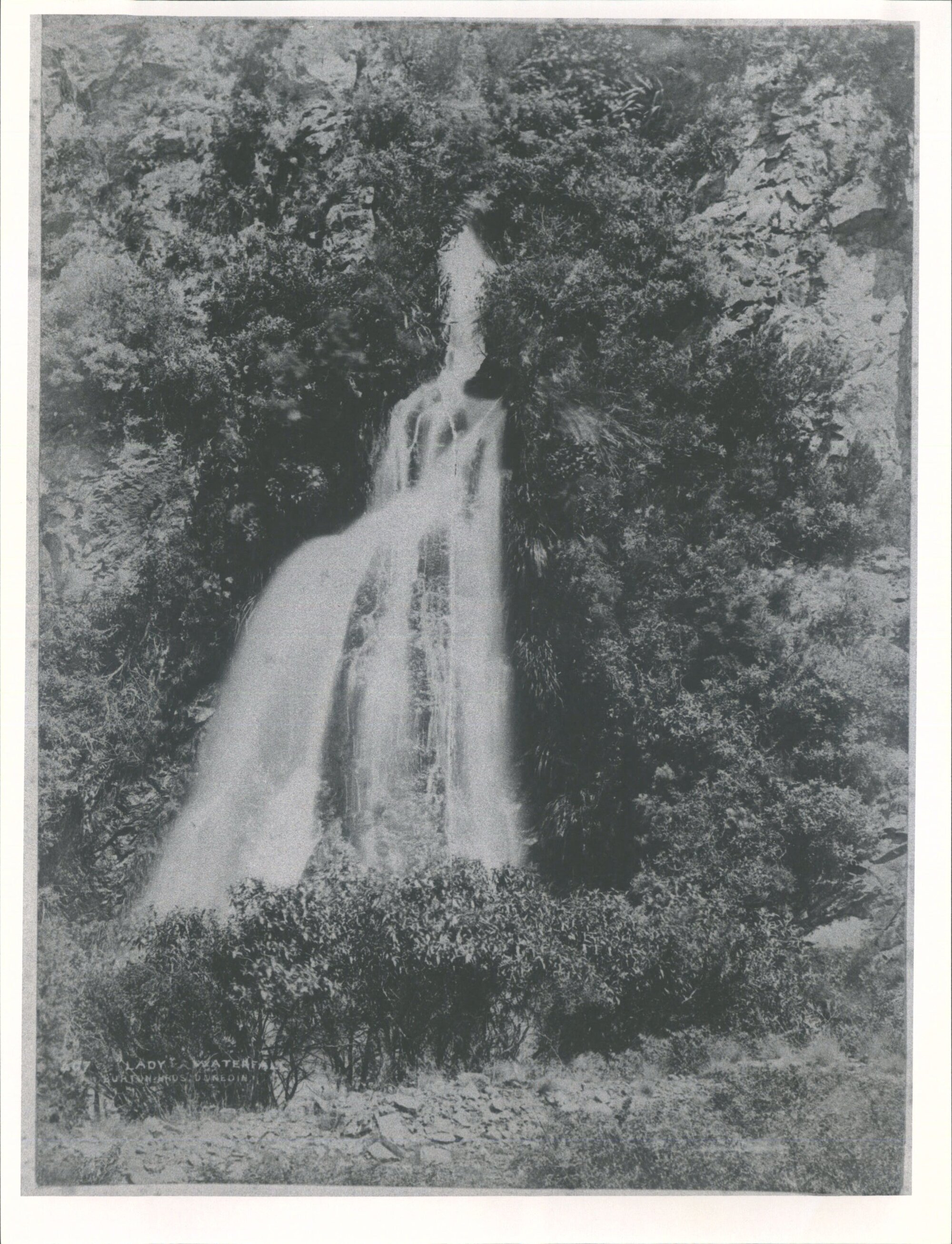Probably at the foot of what was then terminal moraine of the Mueller Glacier