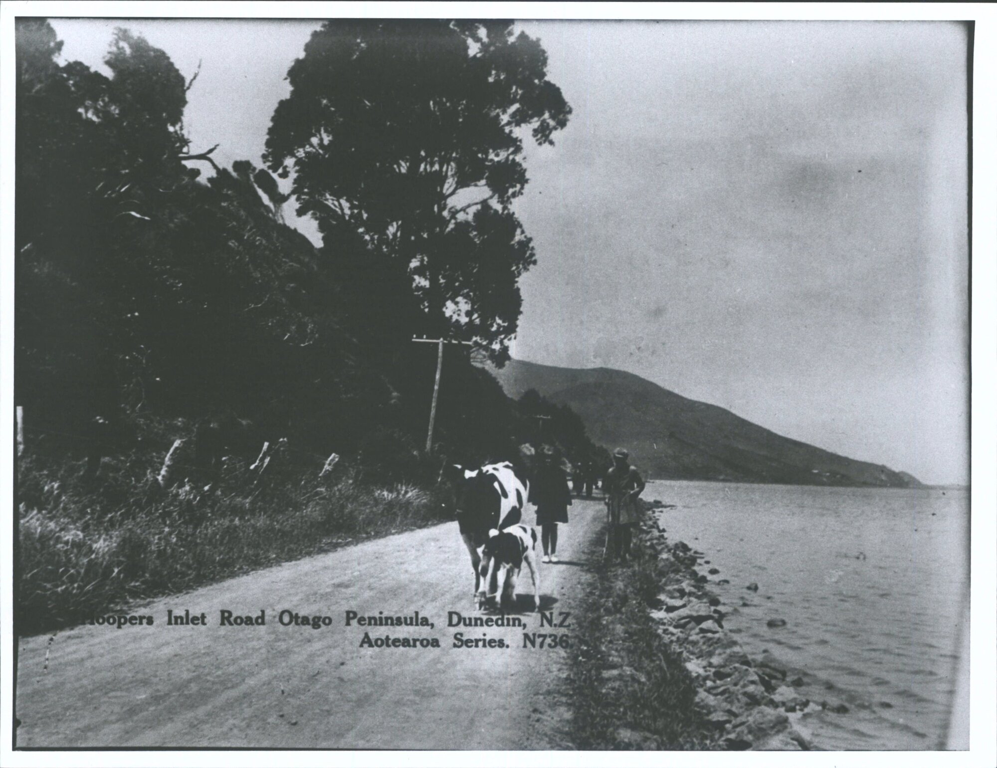 Hoopers Inlet Road, Otago Peninsula, Dunedin, N.Z.
