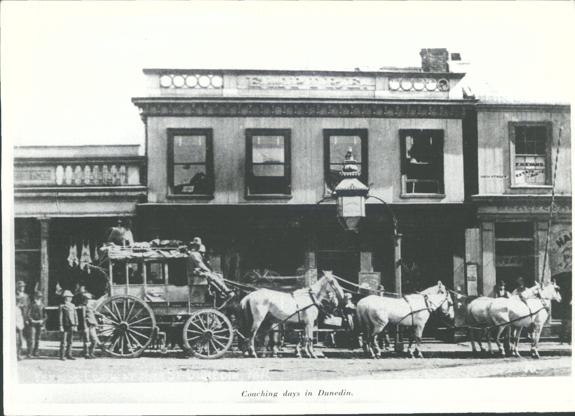 Horse-drawn vehicles