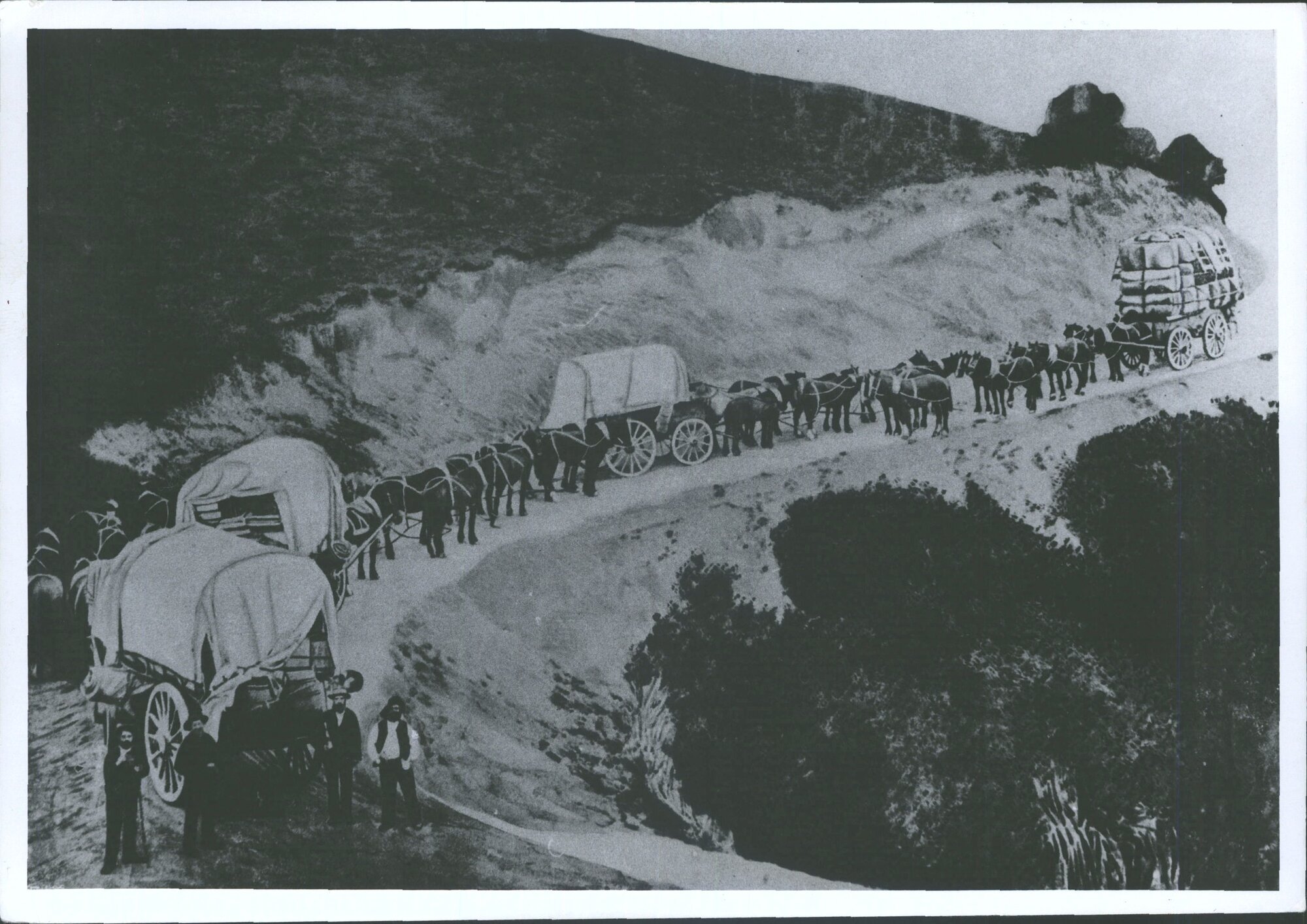 Wagon Teams on the Lawrence - Roxburgh Road, Otago Central.  Drivers of passing teams enjoying a refresher at a bend in the road