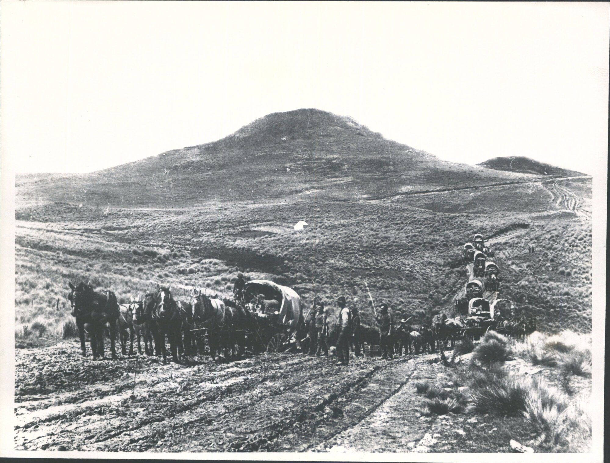 Wagon Teams on the Pigroot