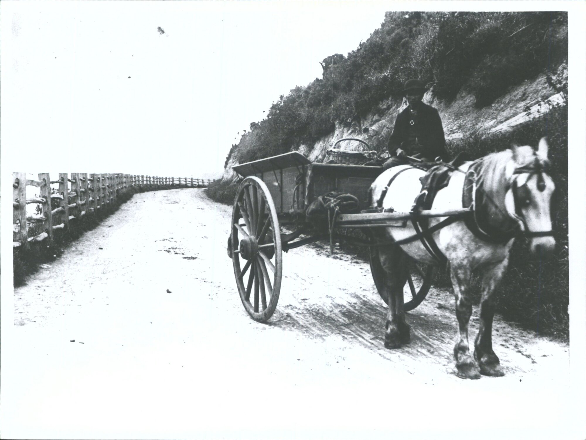 Old "Charlie" &amp; [horse]