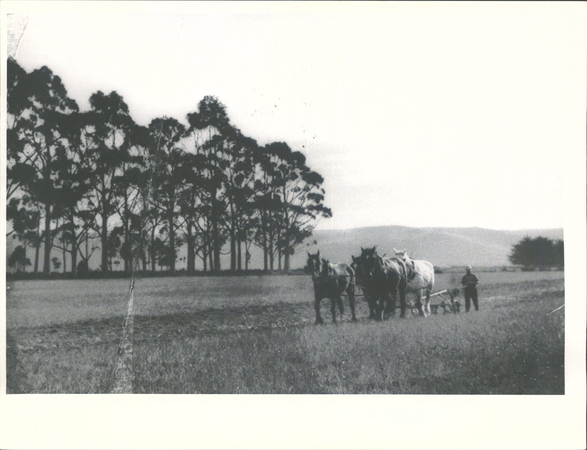 "Ploughing in North Otago"