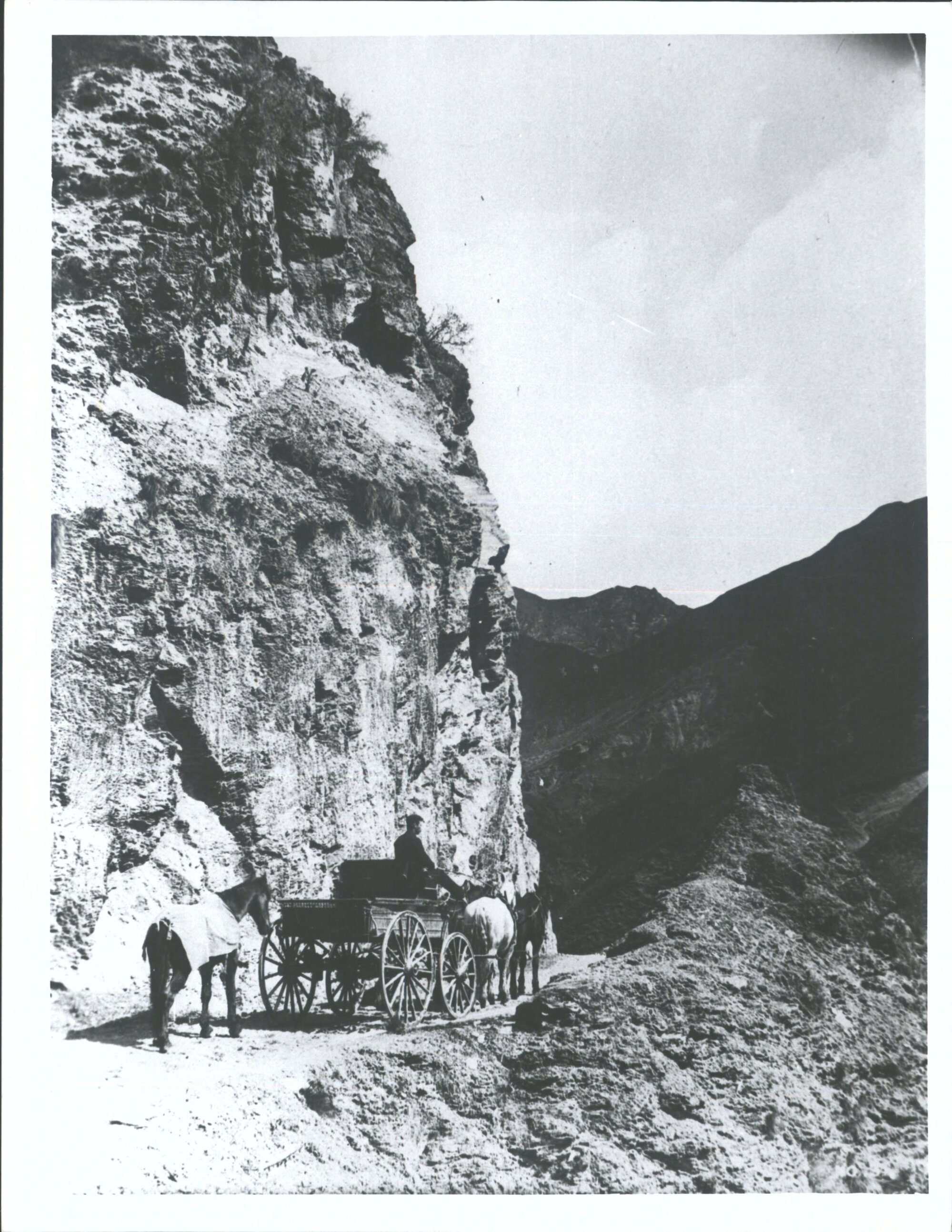 Waggonette at Skippers