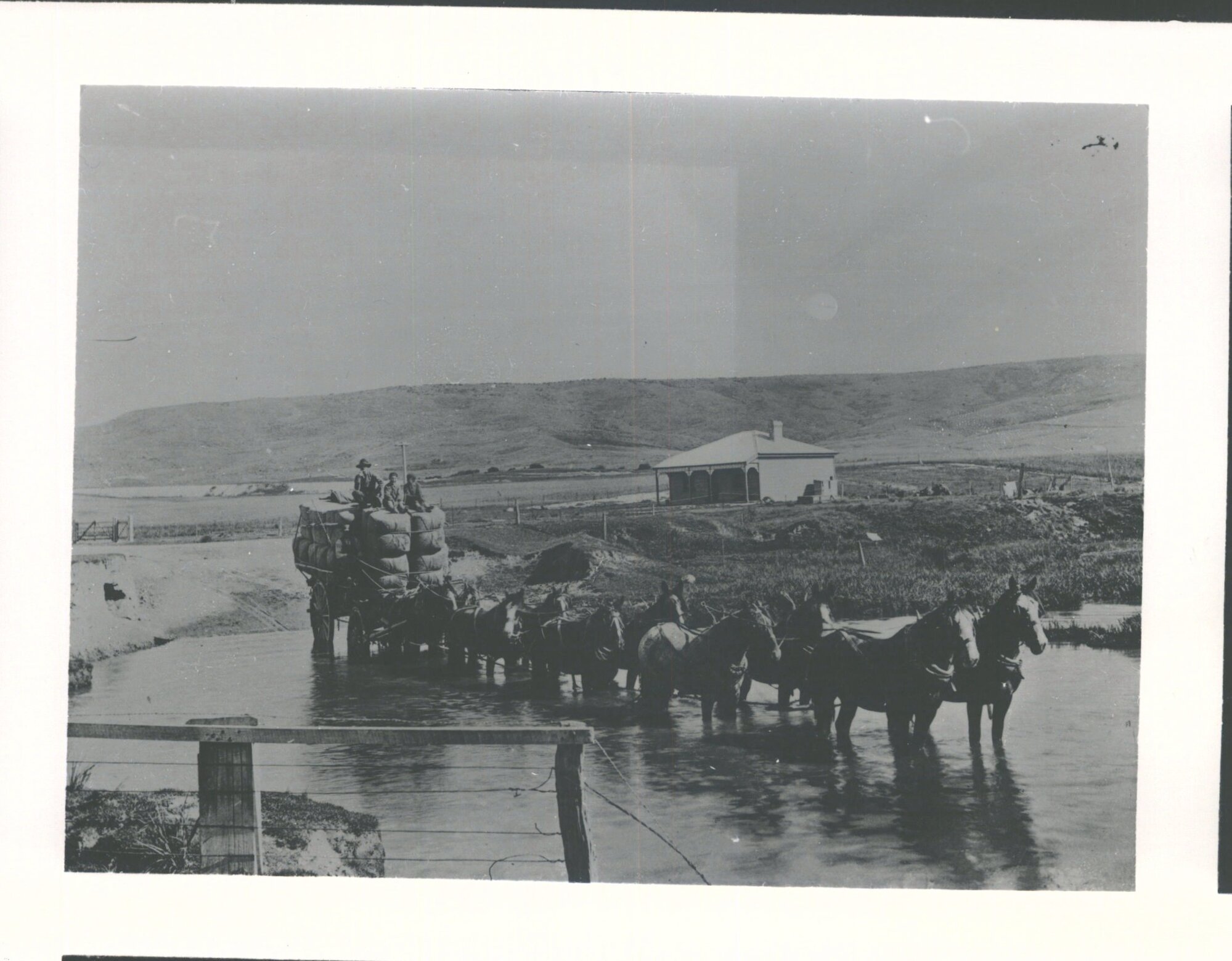 Wool Wagon - Central Otago