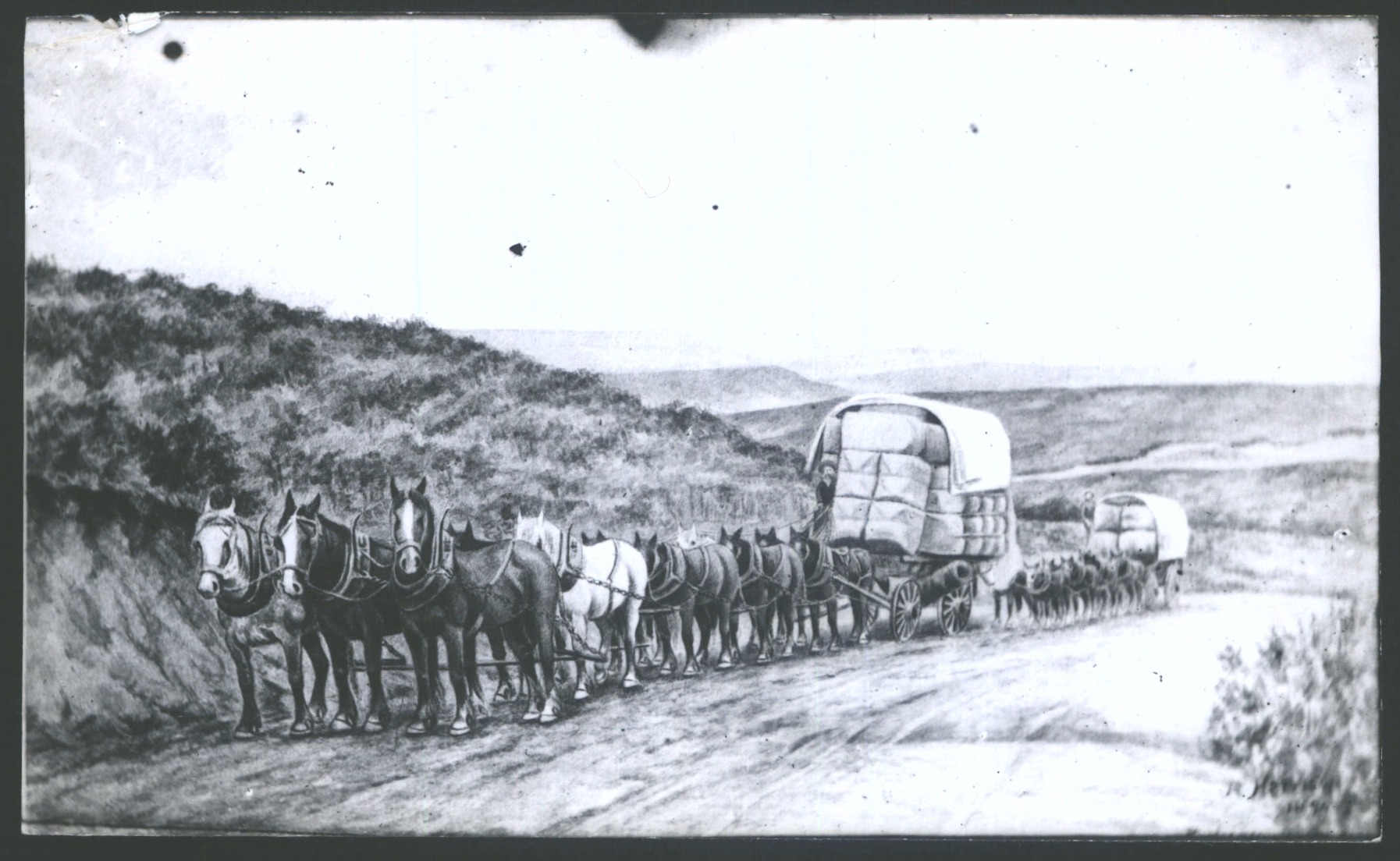 Sketched copy of photograph by Morris