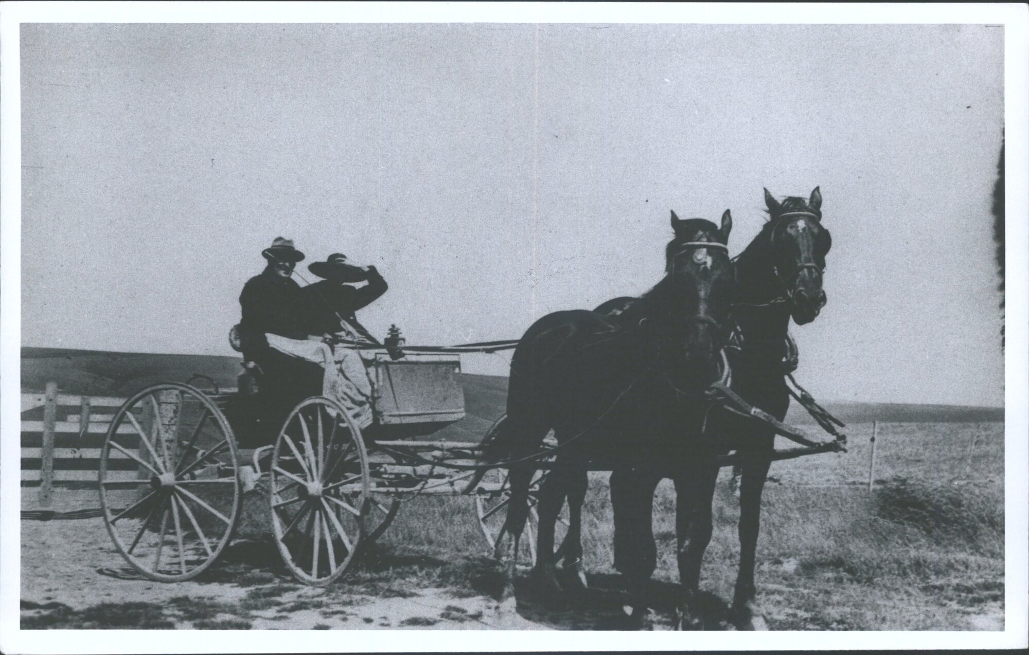 A spring cart c. 1925