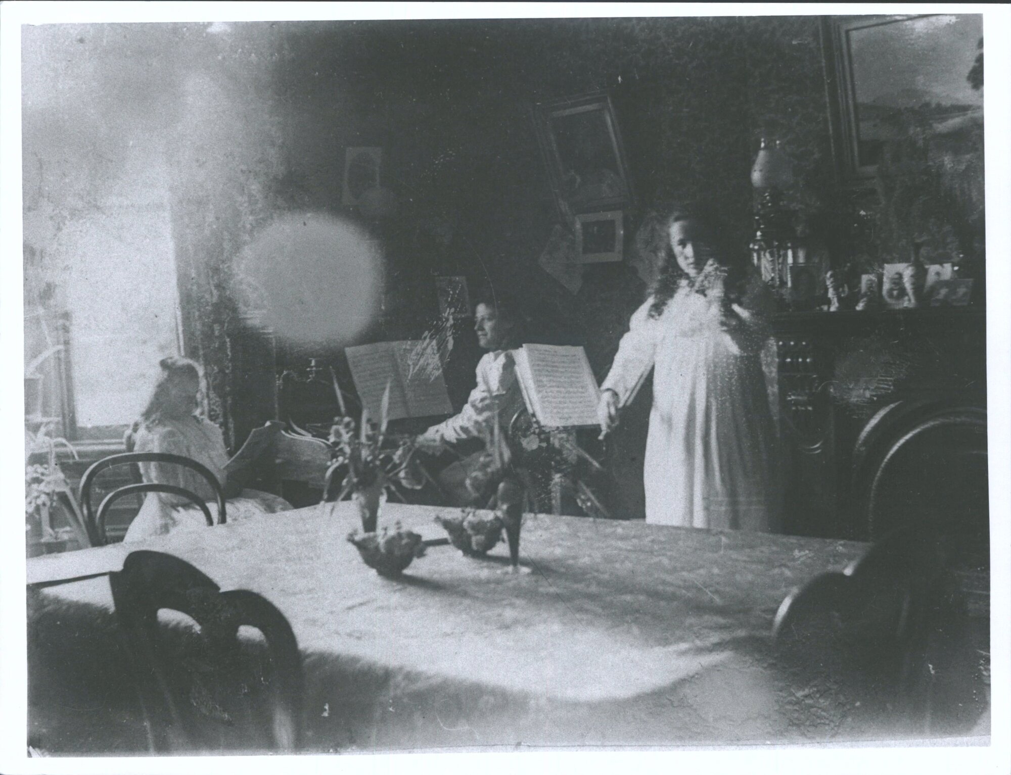 MANSE interior Drawing room