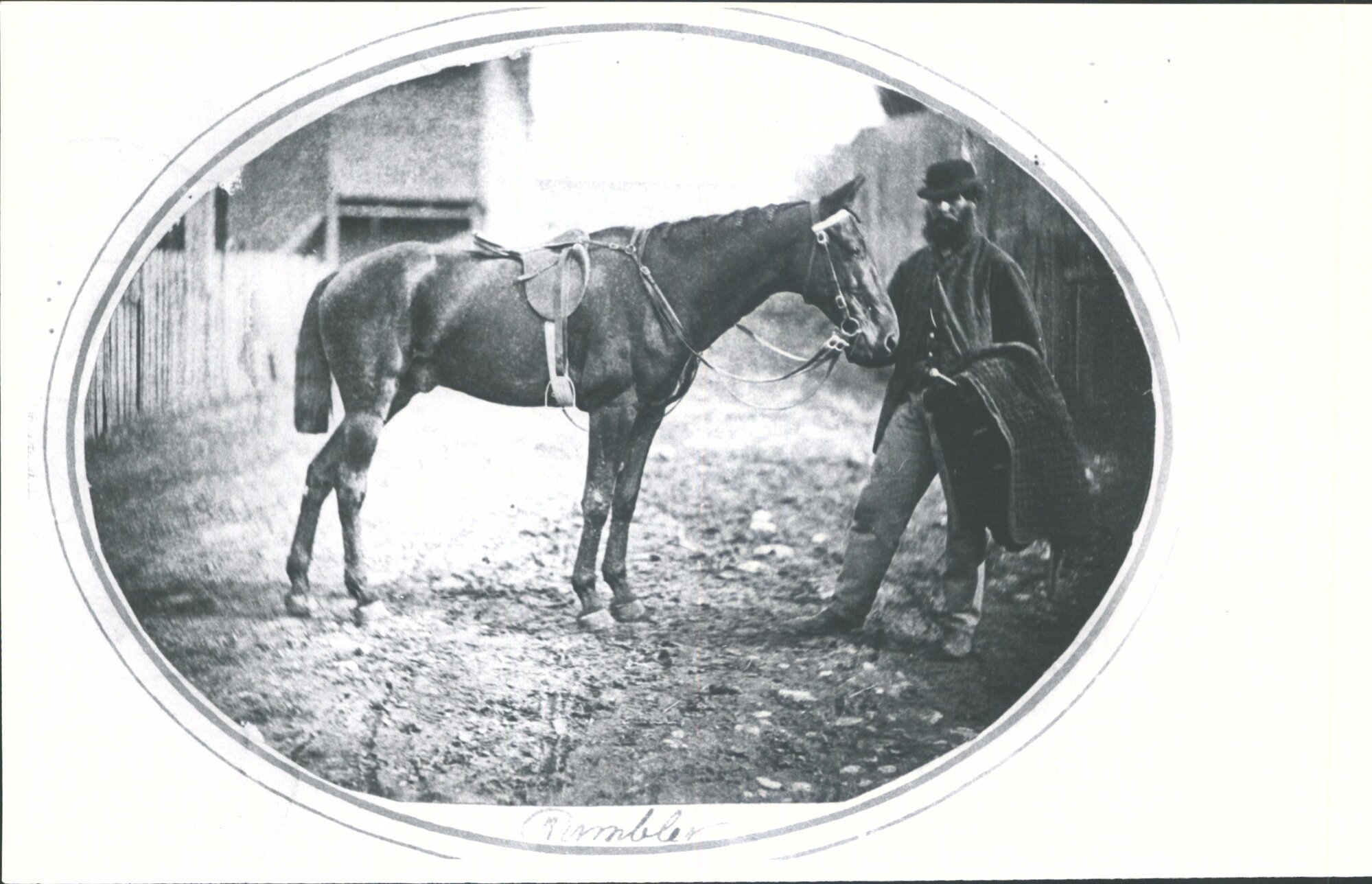 Winner of the District Handicap of 125 sovs.