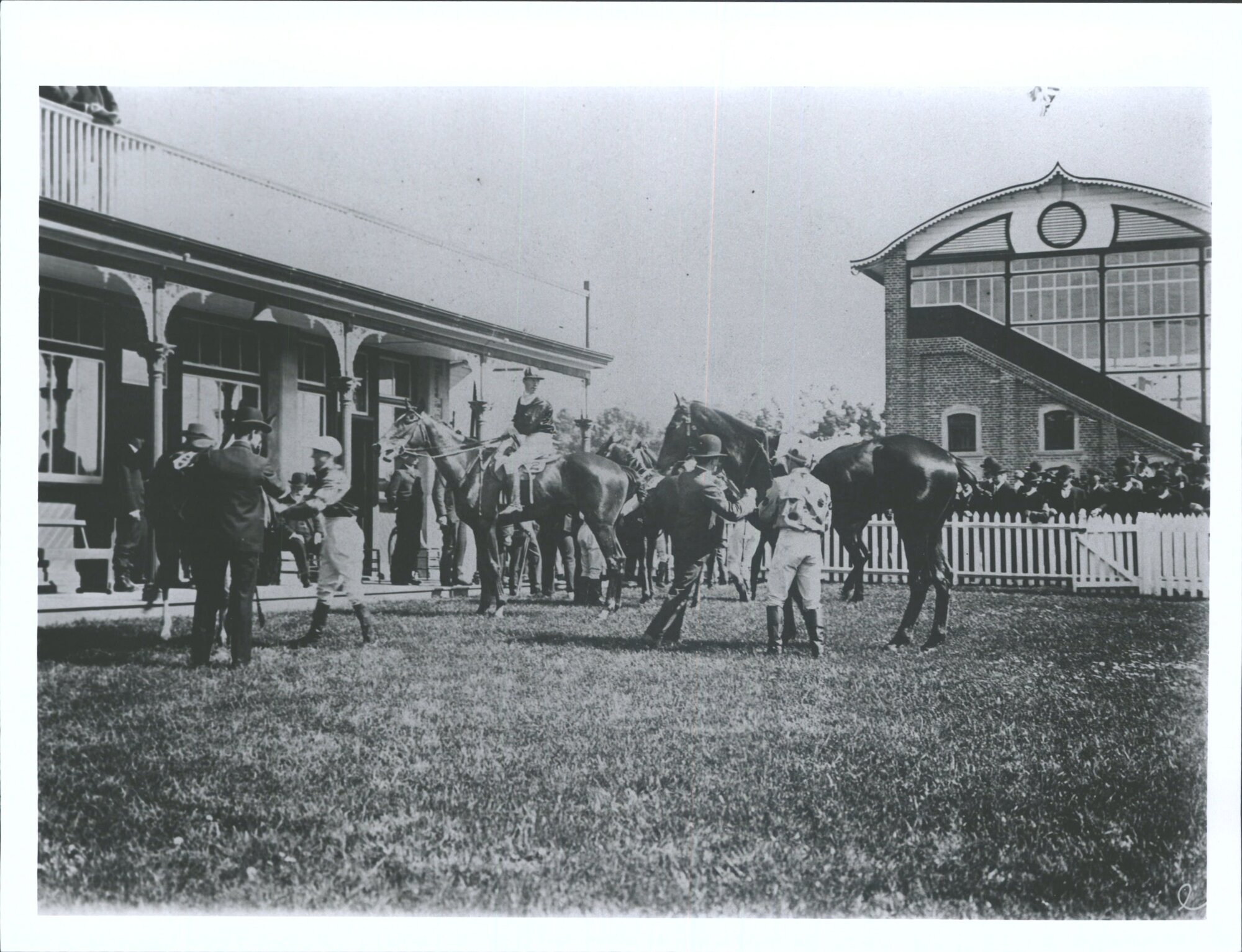 Snap in the stewards  enclosure .Wingatui on Labour Day