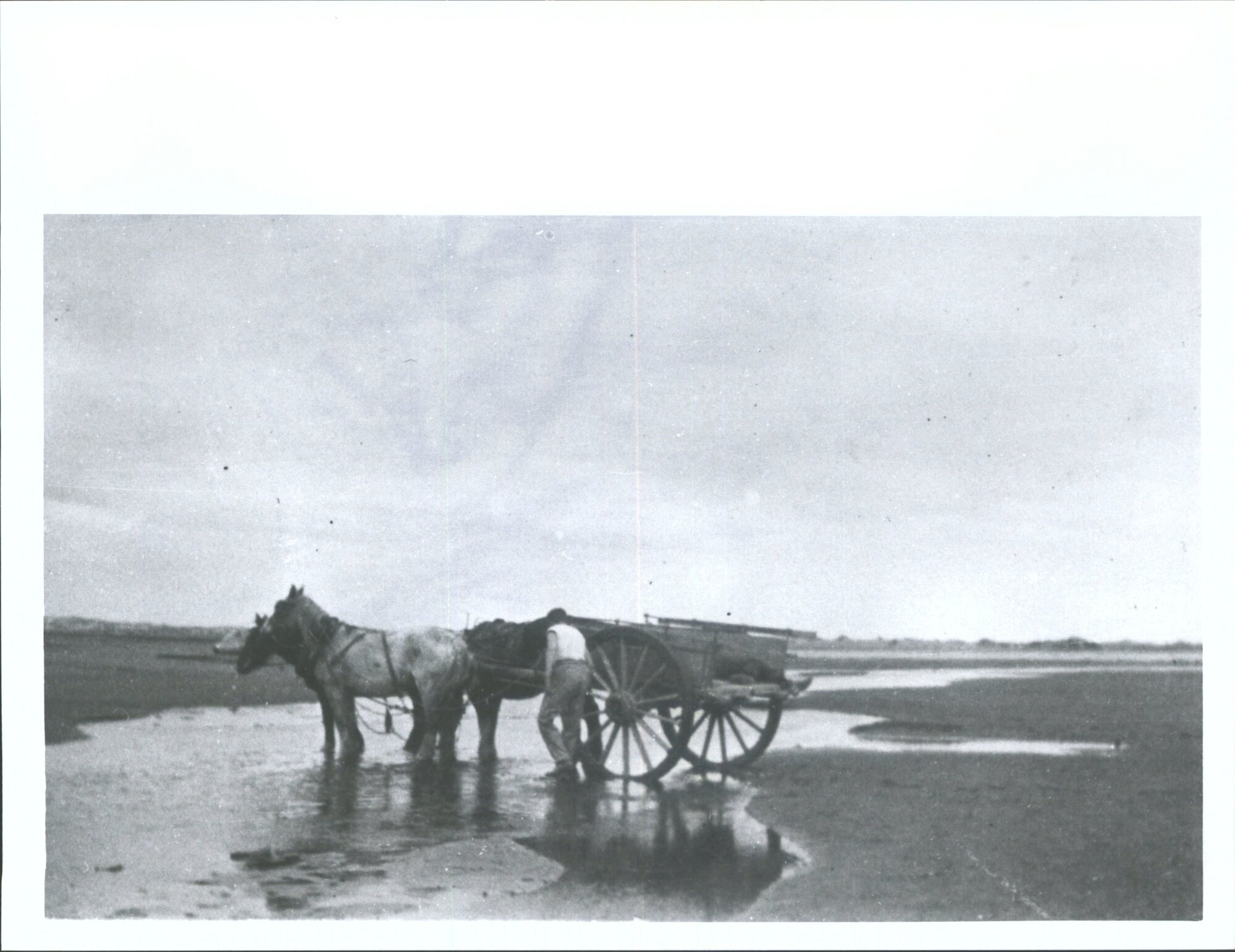 On the Sands at Foxton
