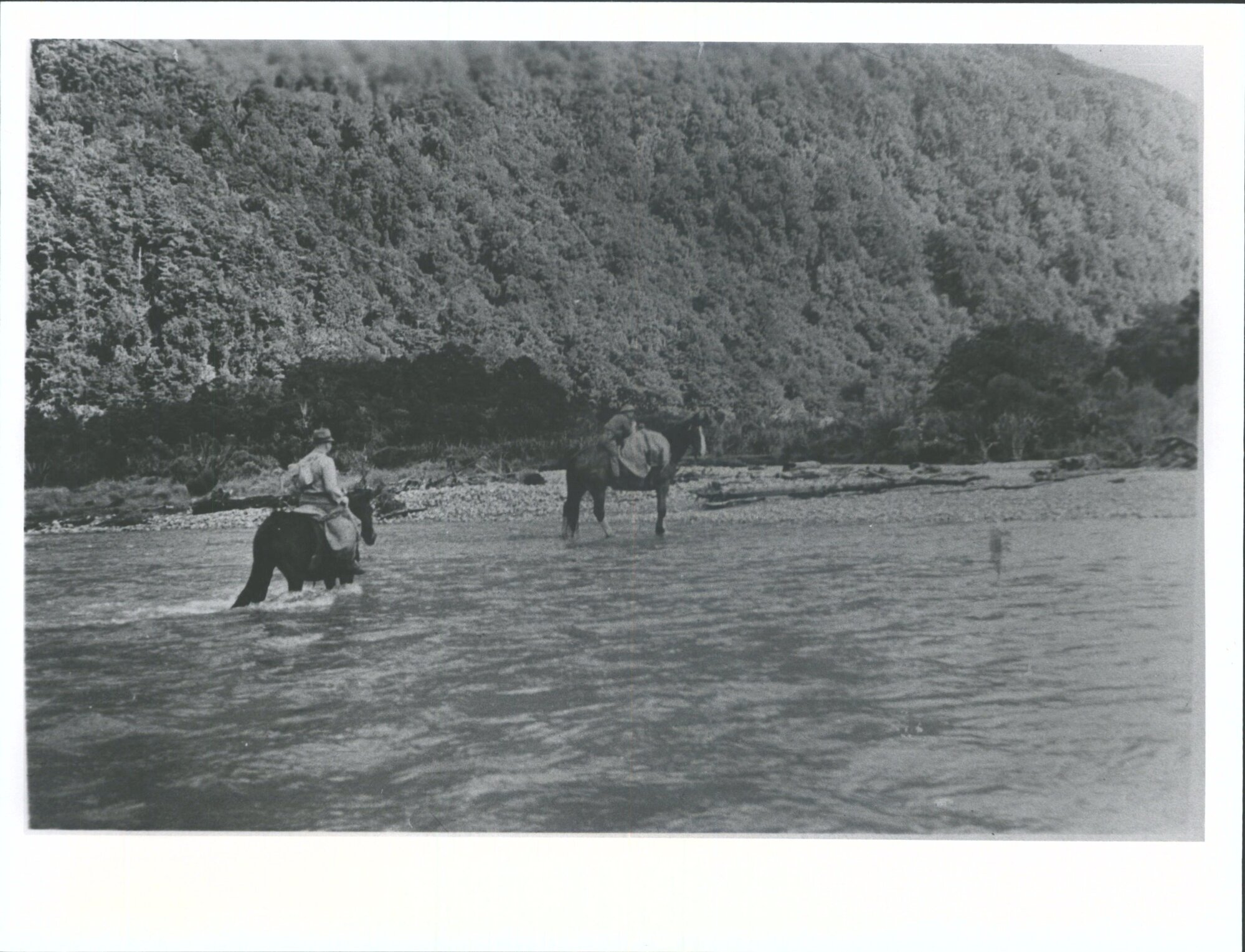 Horses - Fording a River [Barrier?]