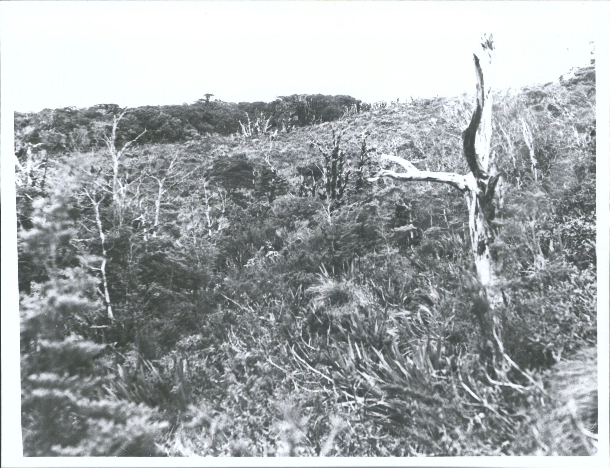 To Key Summit D N F C Trip