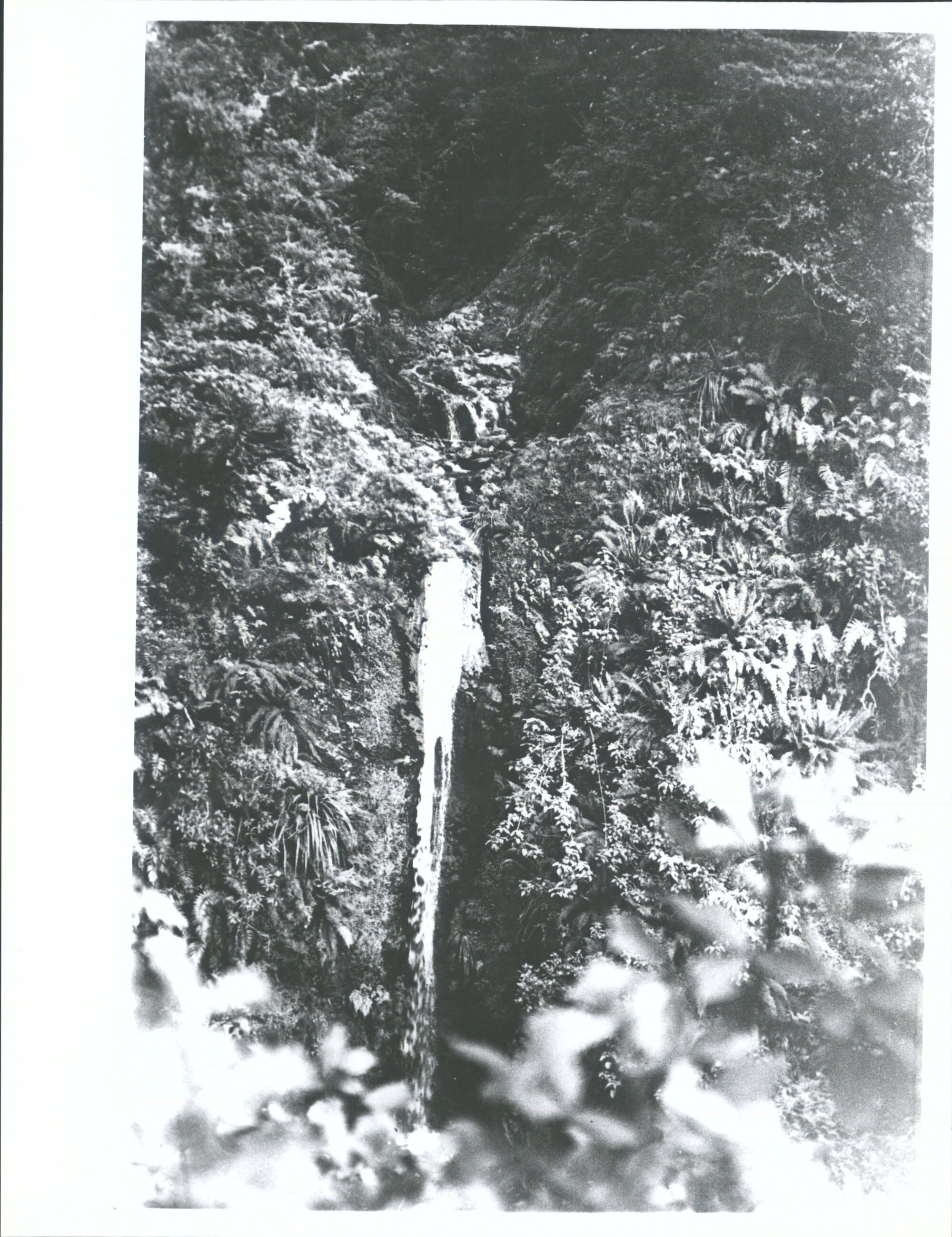 Falls across track viewed from foot of zig-zag  D N F C trip