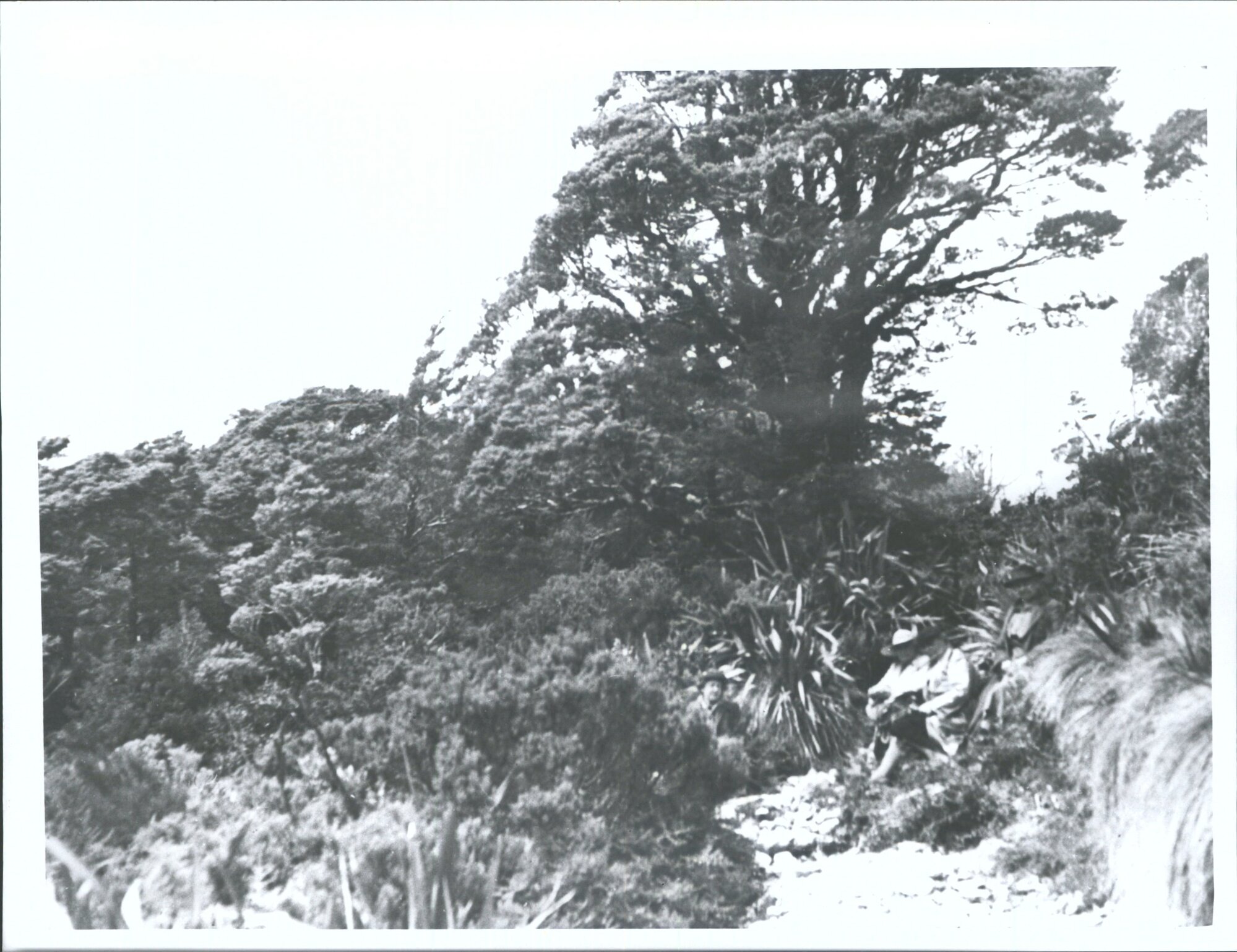 D.N.F.C. trip. Mrs. Crawford, Mrs. Tily,  Mrs Clancy, Mrs H. Stewart