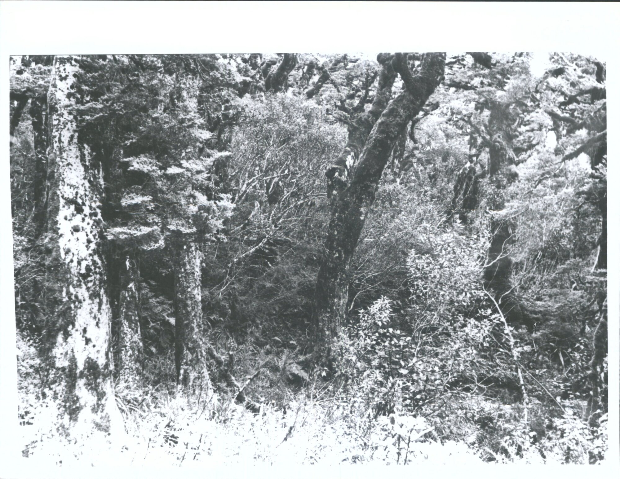 At top of zig-zag-DNFC trip