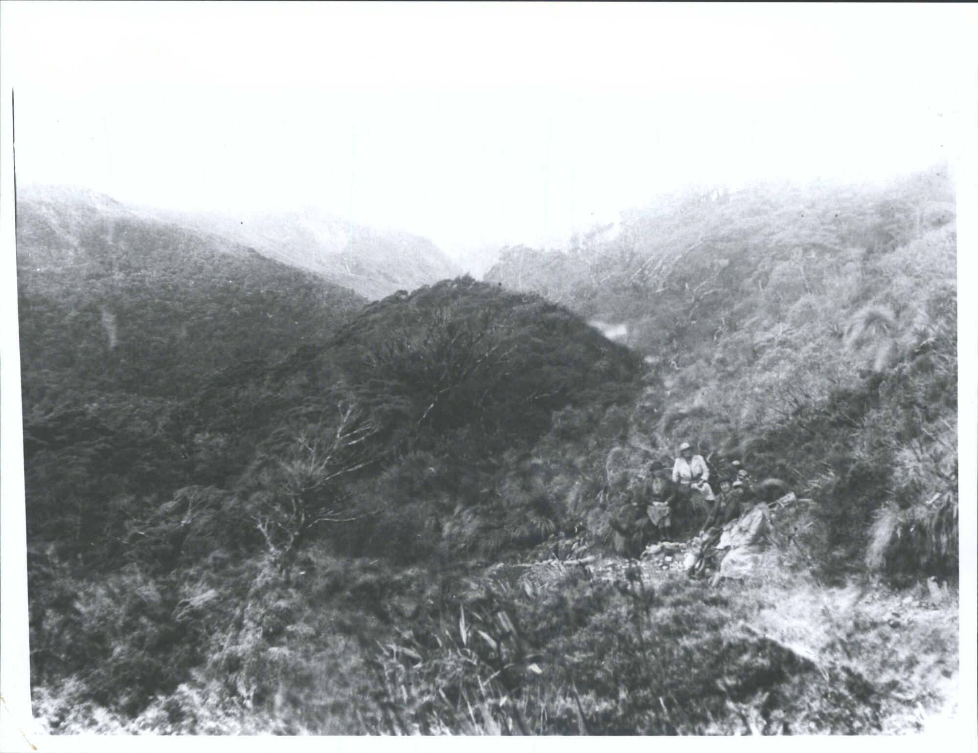 DNFC trip "at junction of the tracks to L. Howden &amp; to Key Summit (a double exposure - includes middle Hollyford also)"