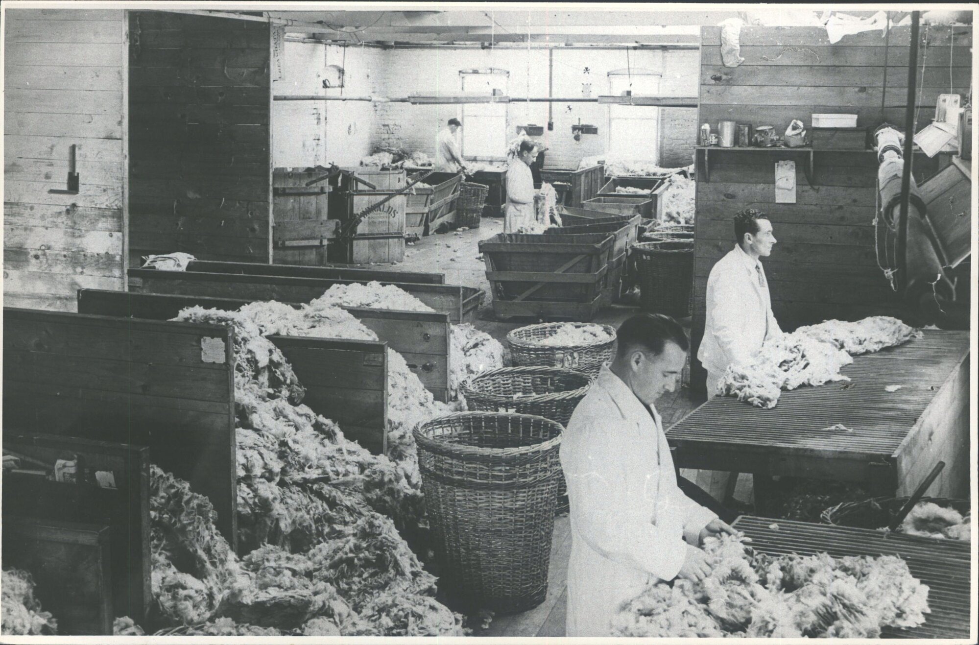 wool sorting Bruce 1947