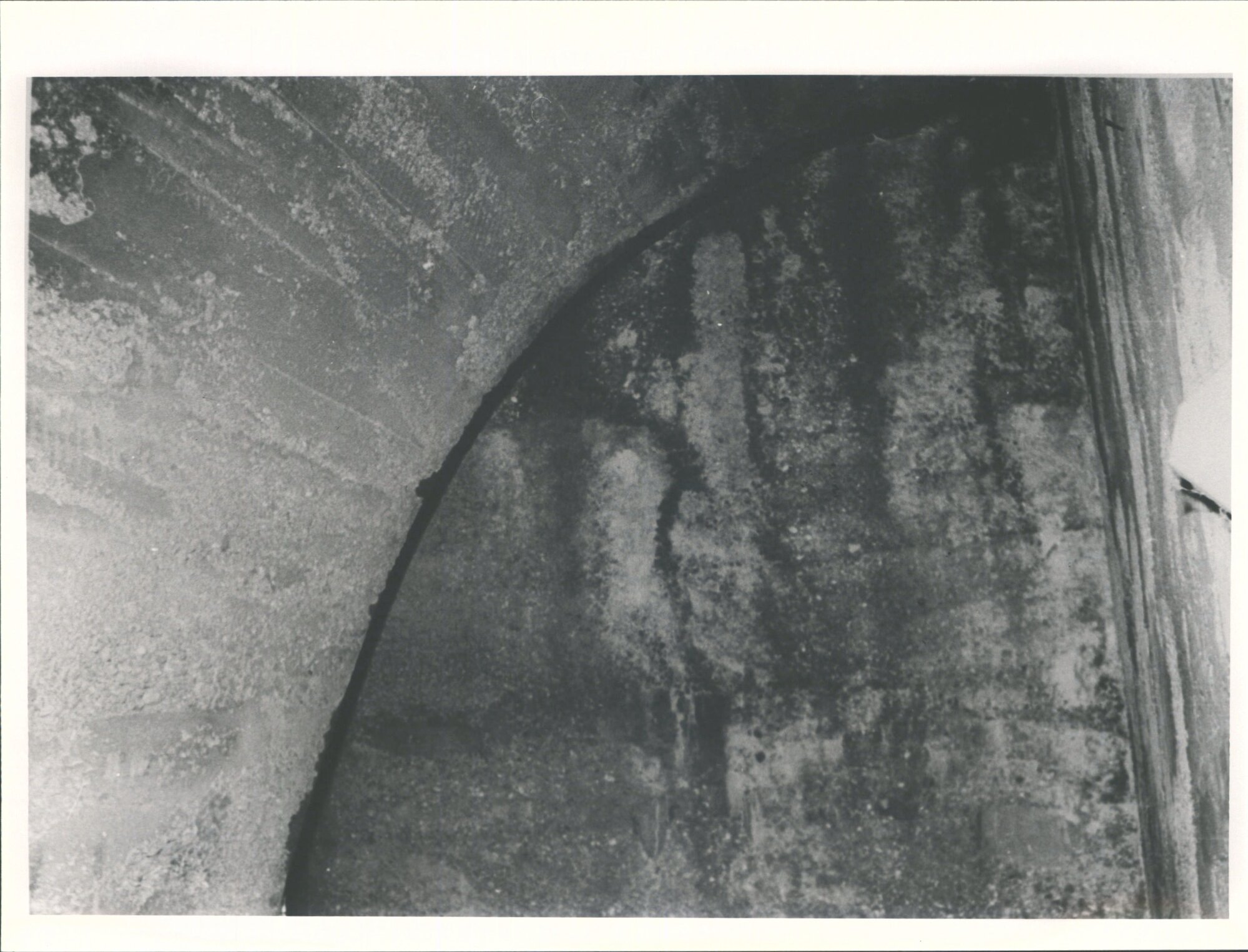 Chicory building 10.7.1974. Photo no. 5 concrete vaulting