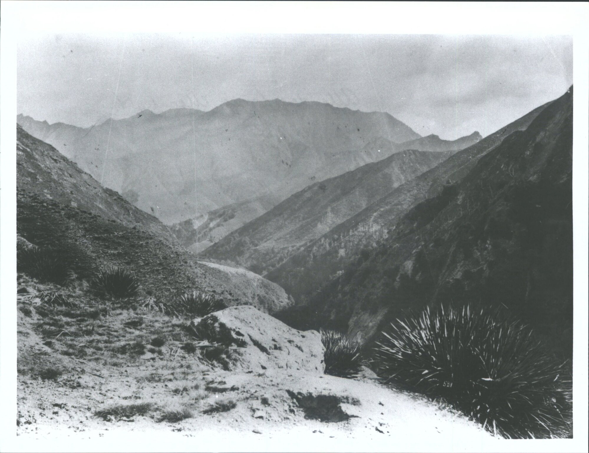 Upper Moonlight Creek