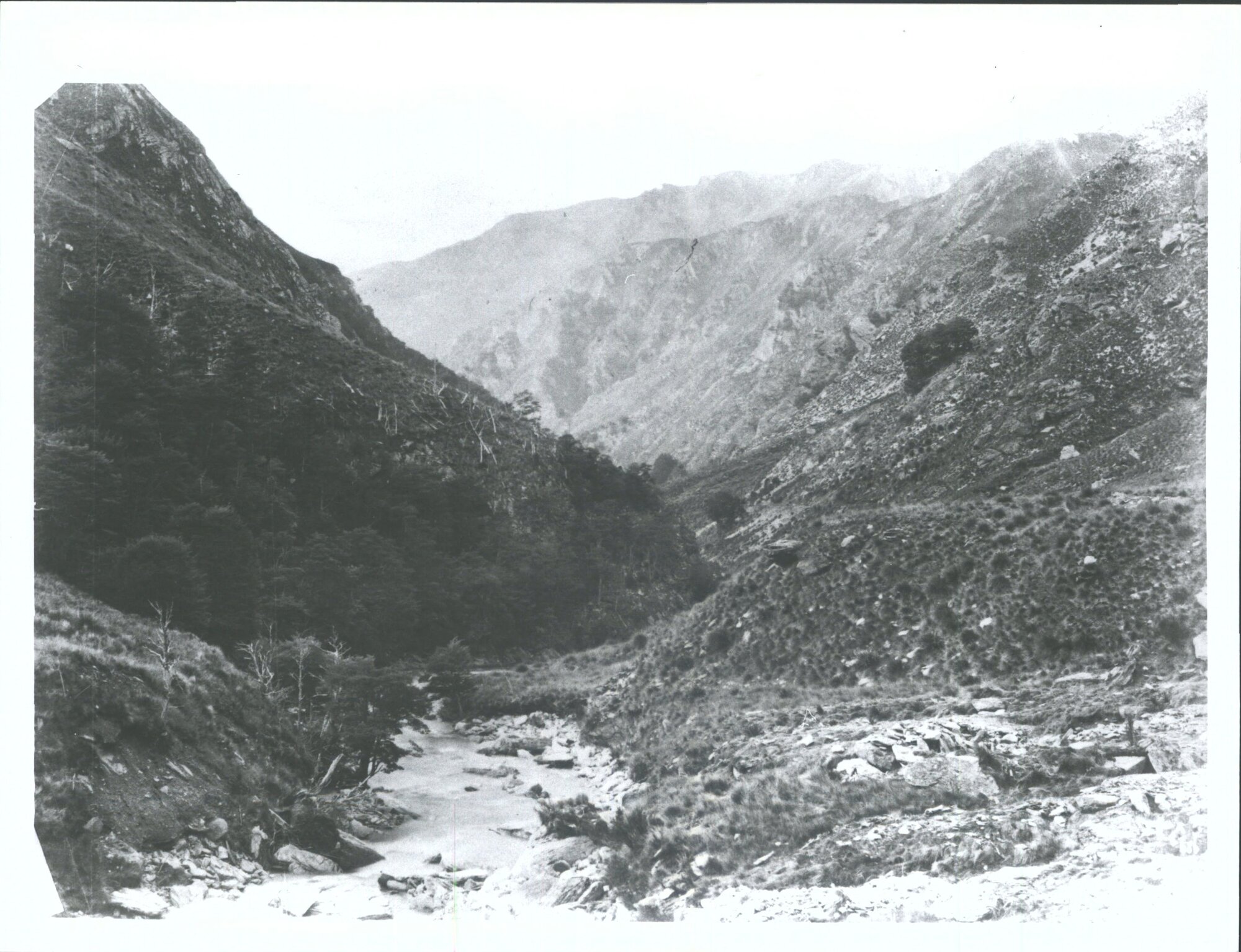 Upper Moonlight Creek